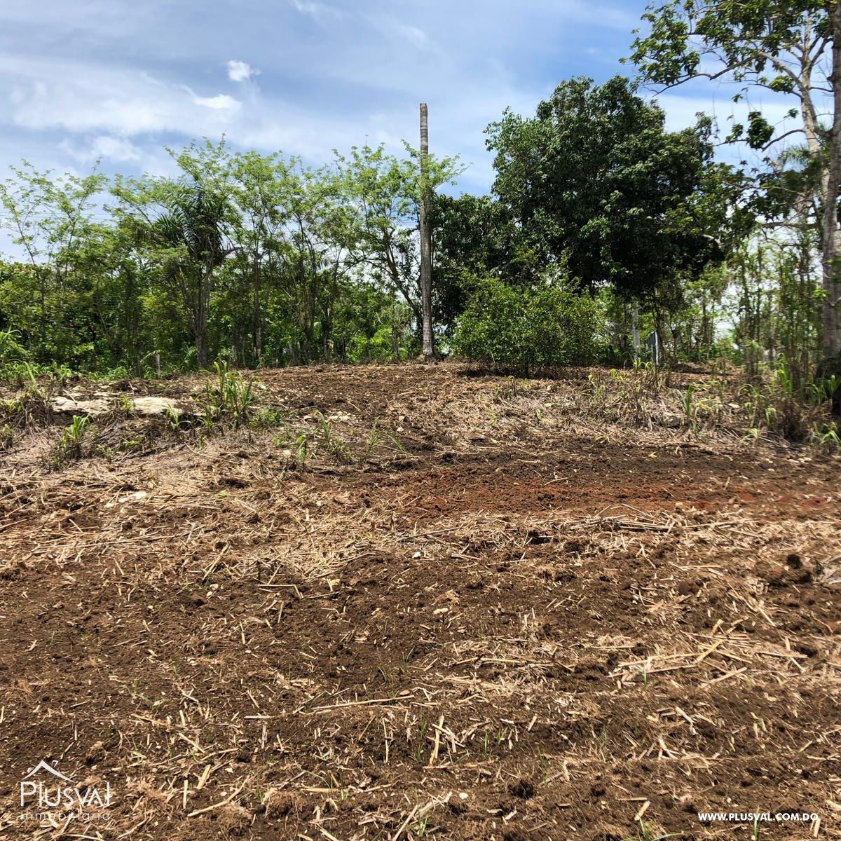 Terreno para hacienda en Monte Plata 464117