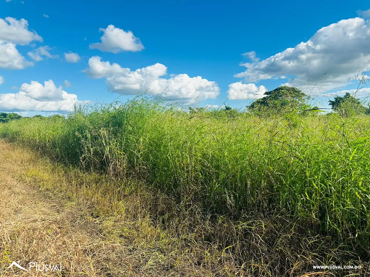 Residencial Las Trinitarias 474051