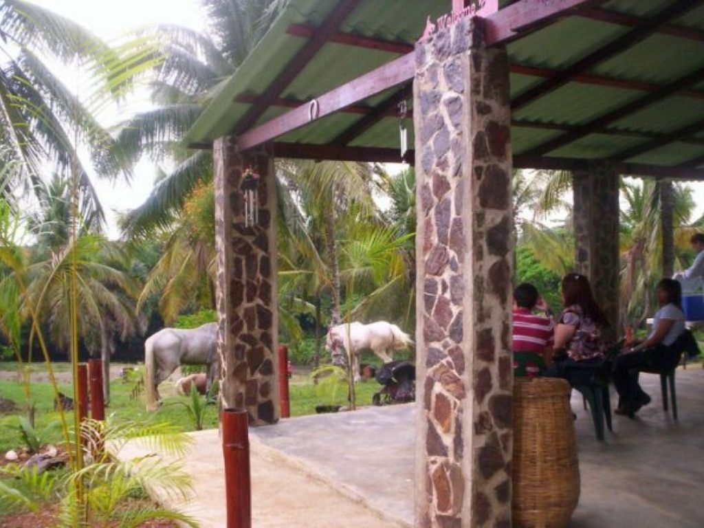 Finca en el Higuero en venta. 2621