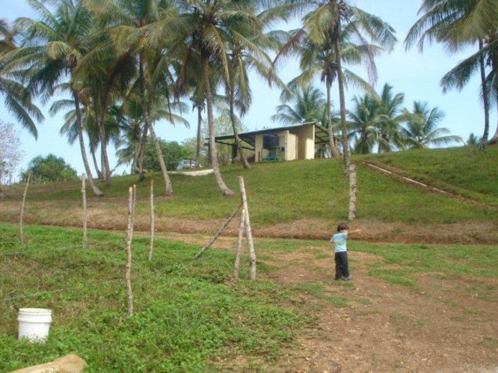 Finca en el Higuero en venta. 2623