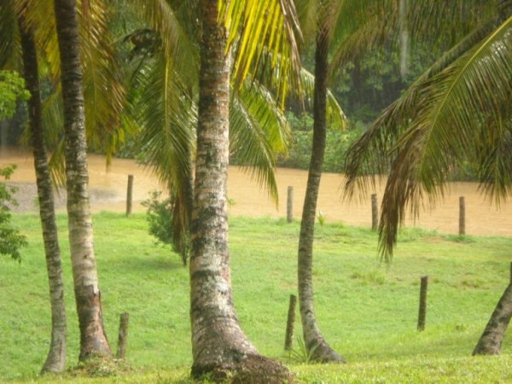 Finca en el Higuero en venta. 454620