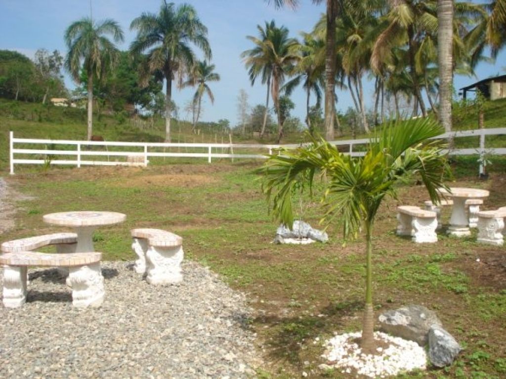 Finca en el Higuero en venta. 2617