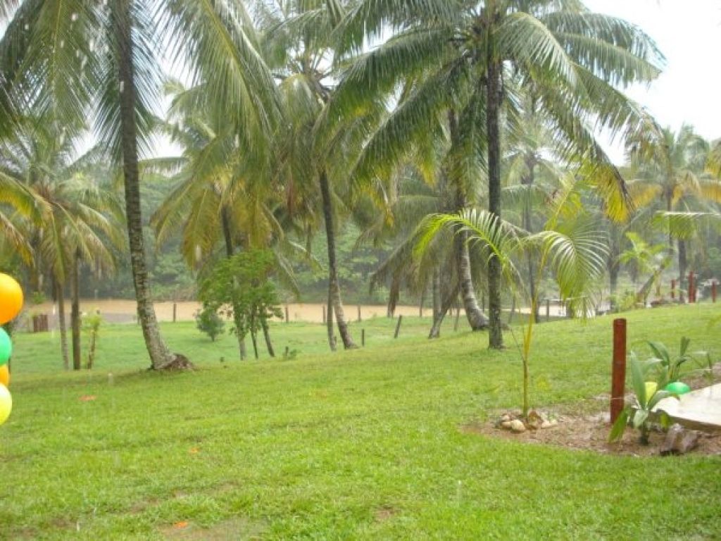 Finca en el Higuero en venta. 2616