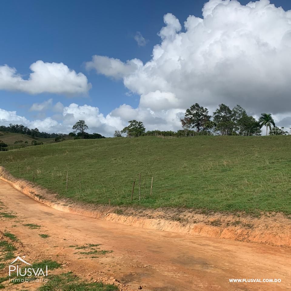 Excelente Solar en Venta en Jarabacoa 426942