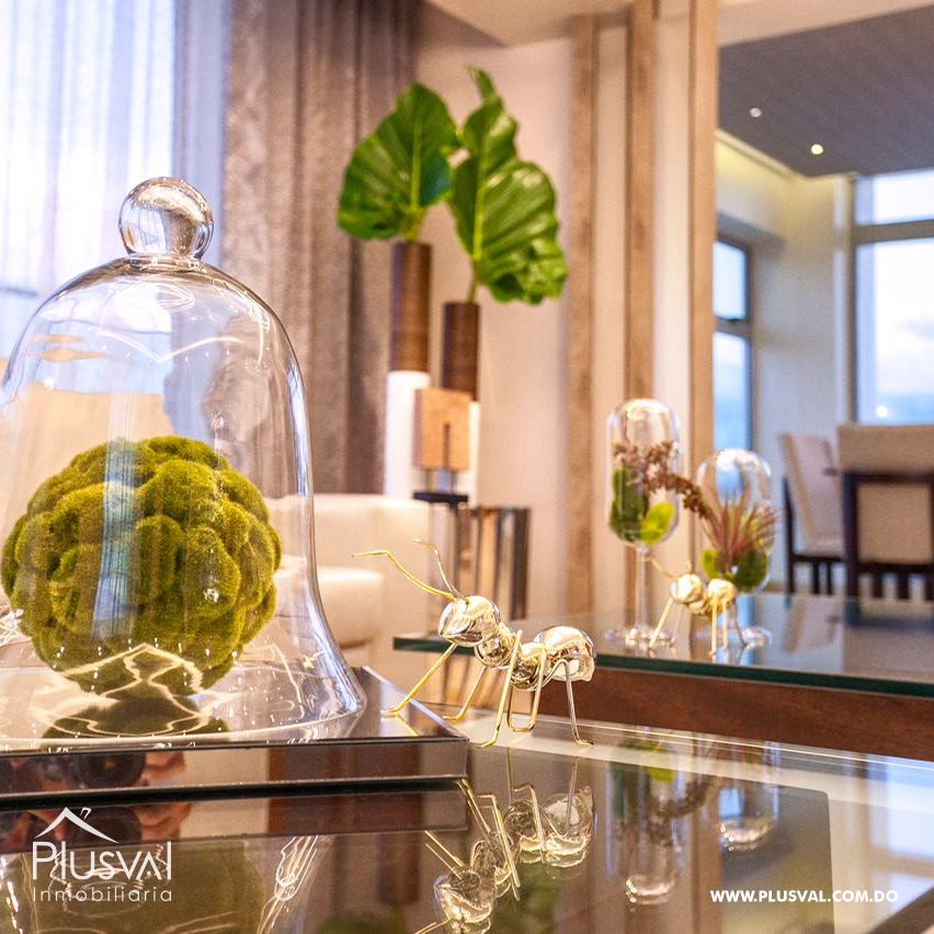 Amplio penthouse en la zona Exclusiva La Esmeralda 395914