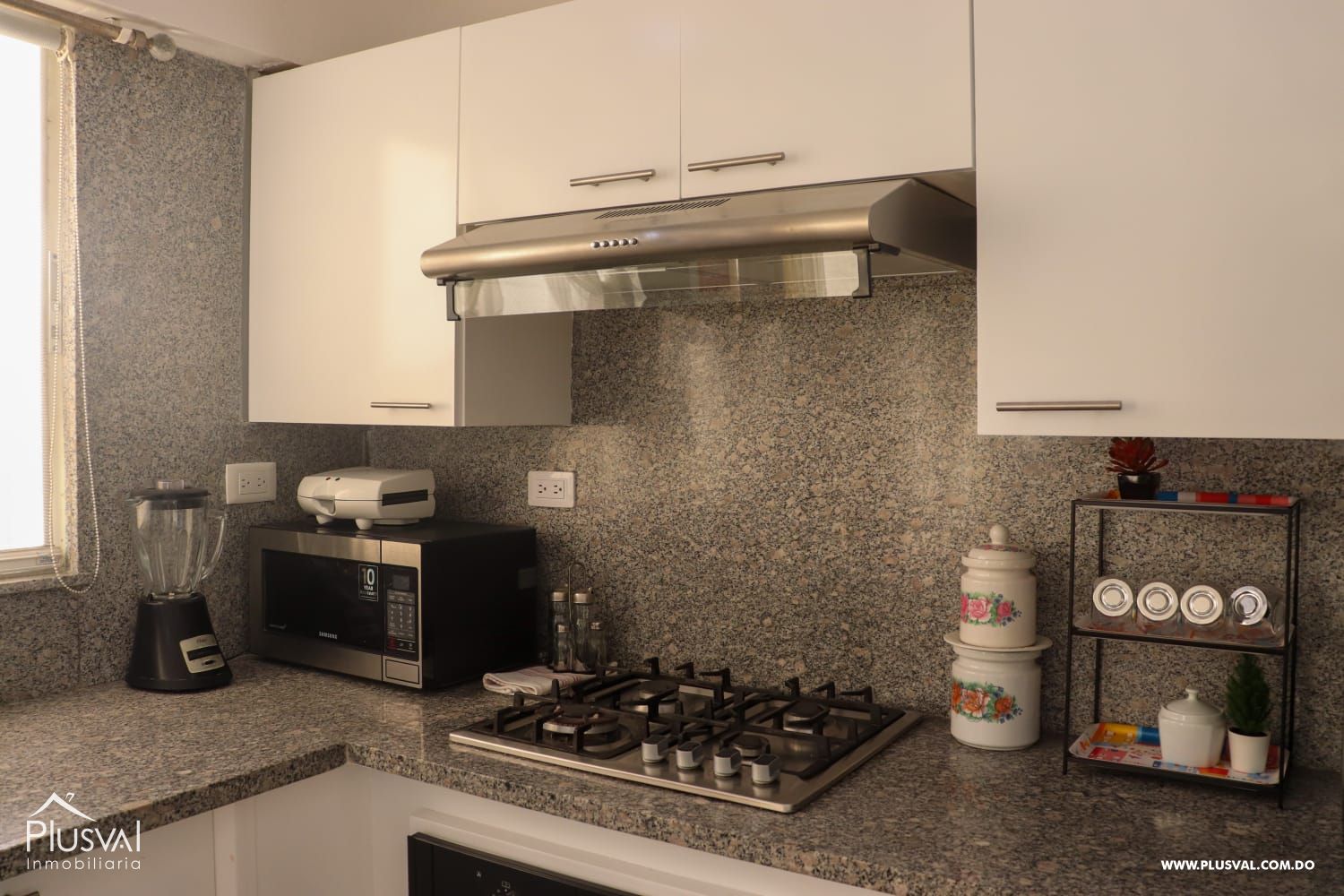 APARTAMENTO AMUEBLADO EN VENTA  CON VISTA AL MAR 225847