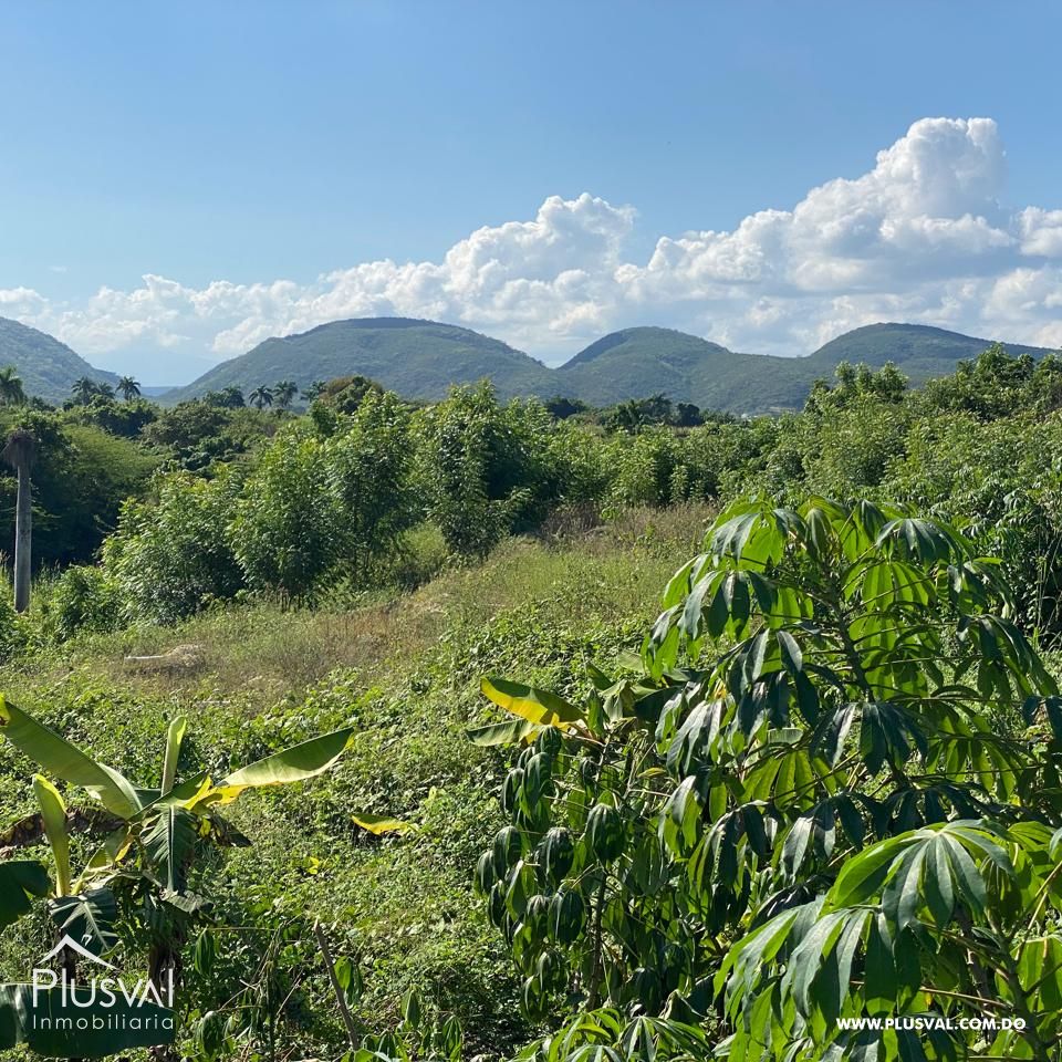 Productiva finca a la venta en El Rincón, Jinamagao, La Canela. Santiago 379516