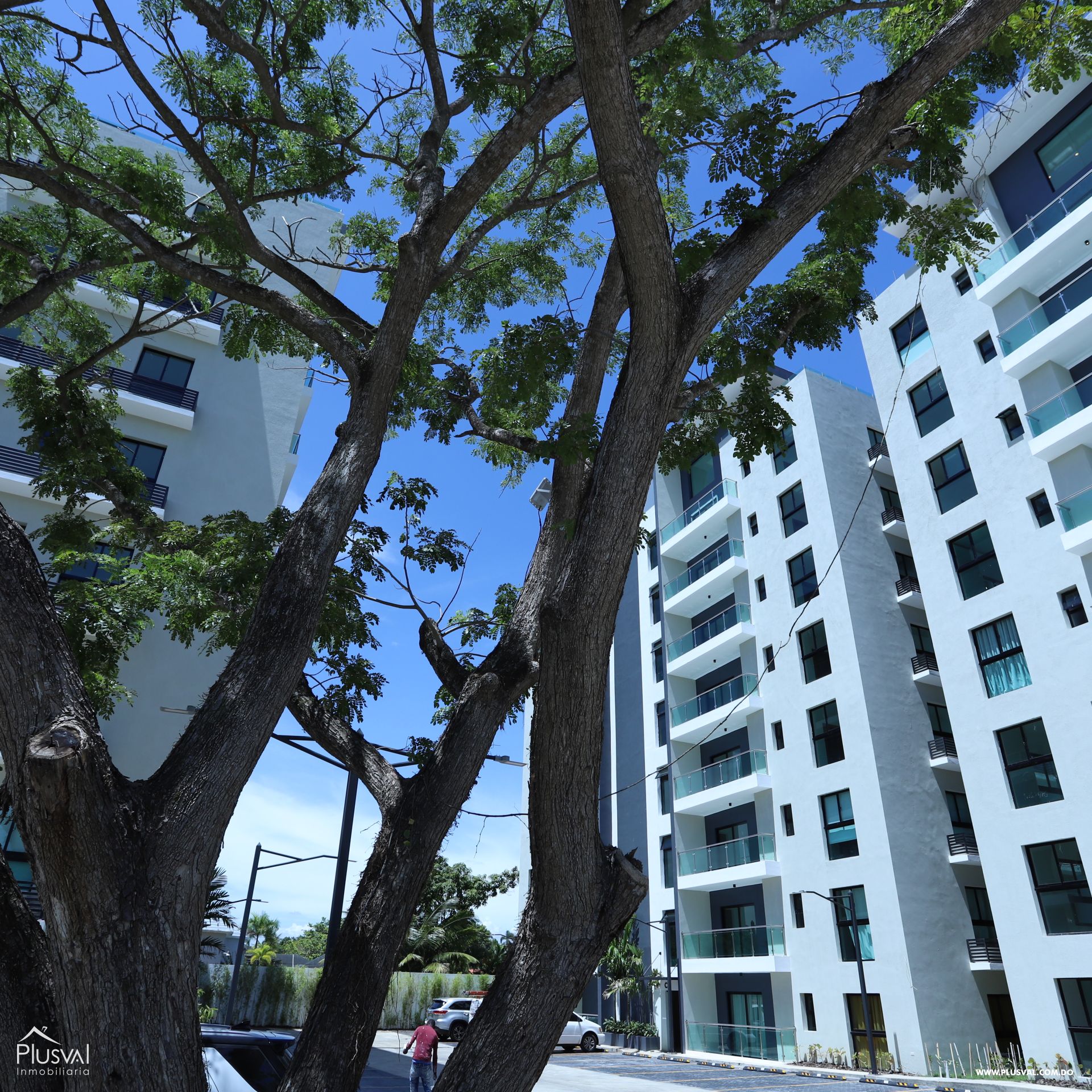 Apartamento en renta de 3 habitaciones ubicado en un piso 7 424896