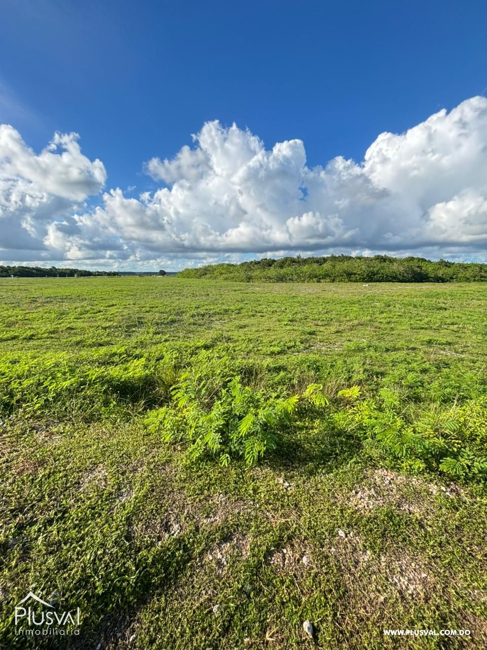 Terreno en Venta con alto potencial en Cap Cana 483070