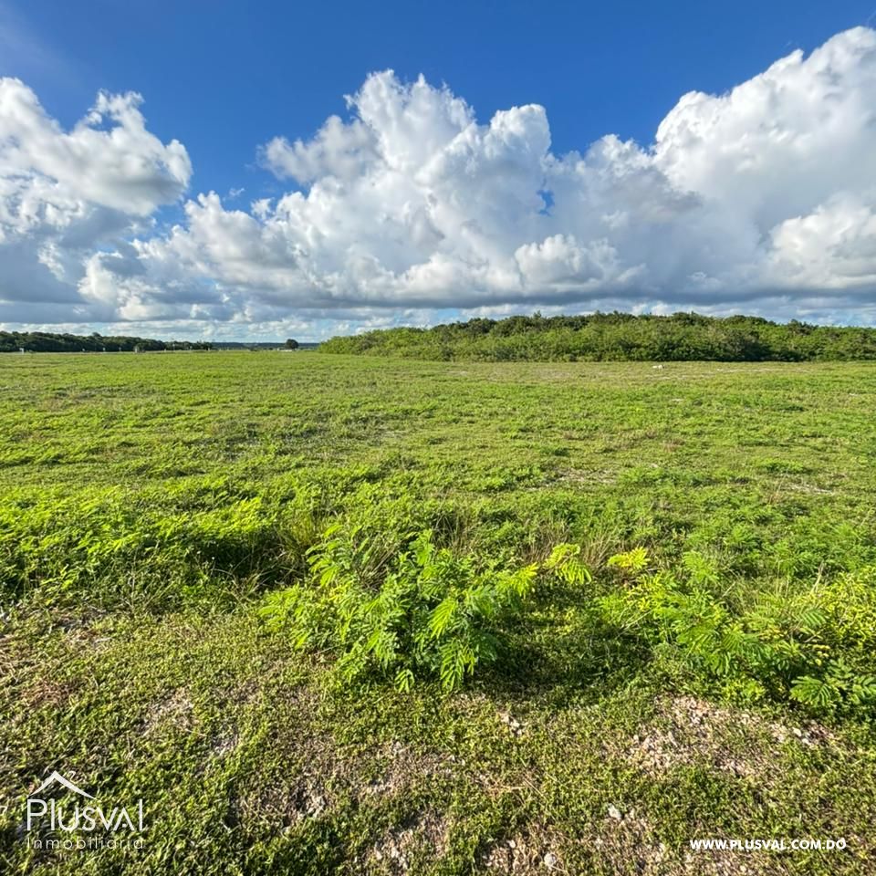 Terreno en Venta con alto potencial en Cap Cana 483070