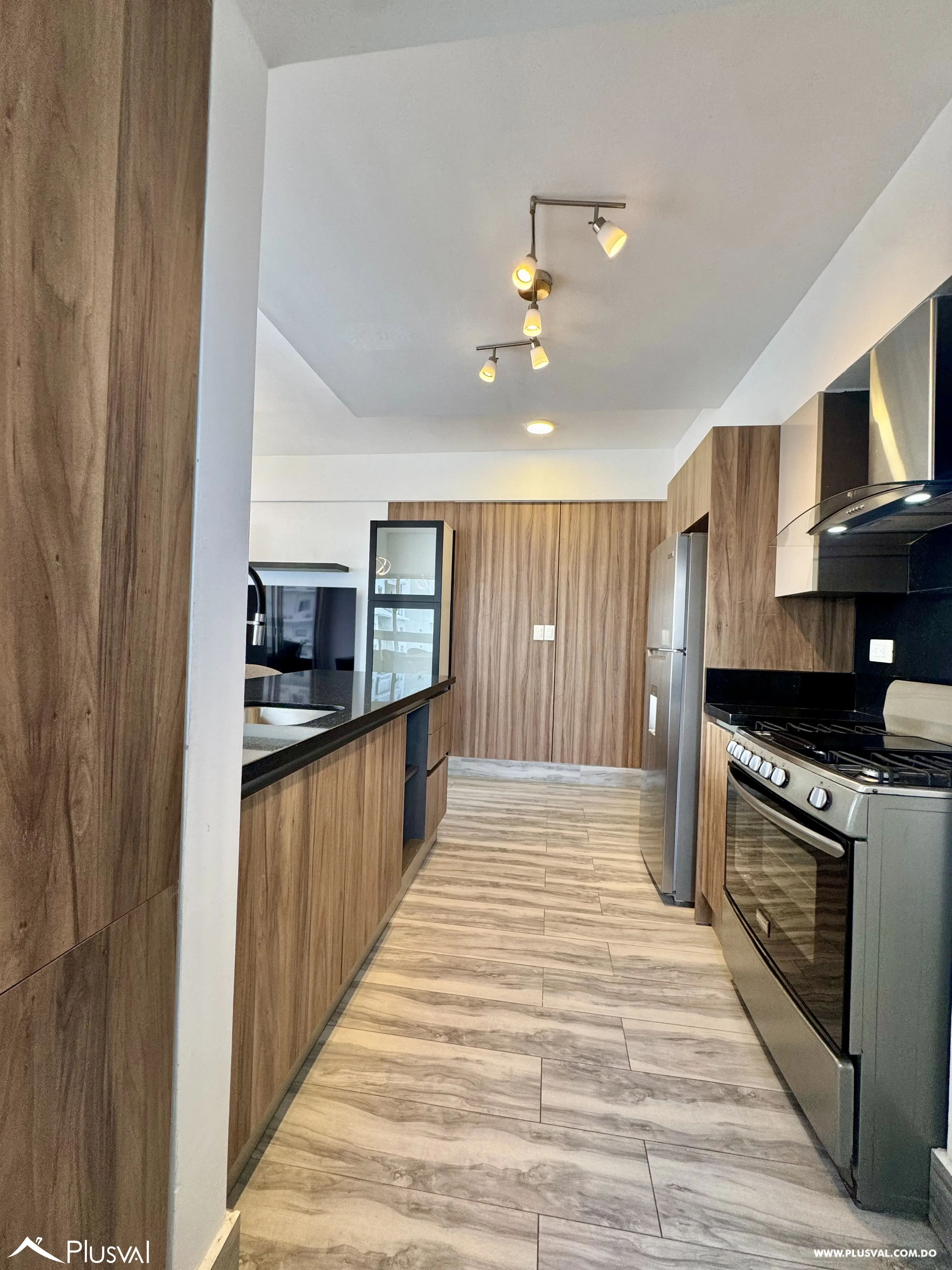 Alquilo  Maravilloso Apartamento en el Corazon de Naco 512828