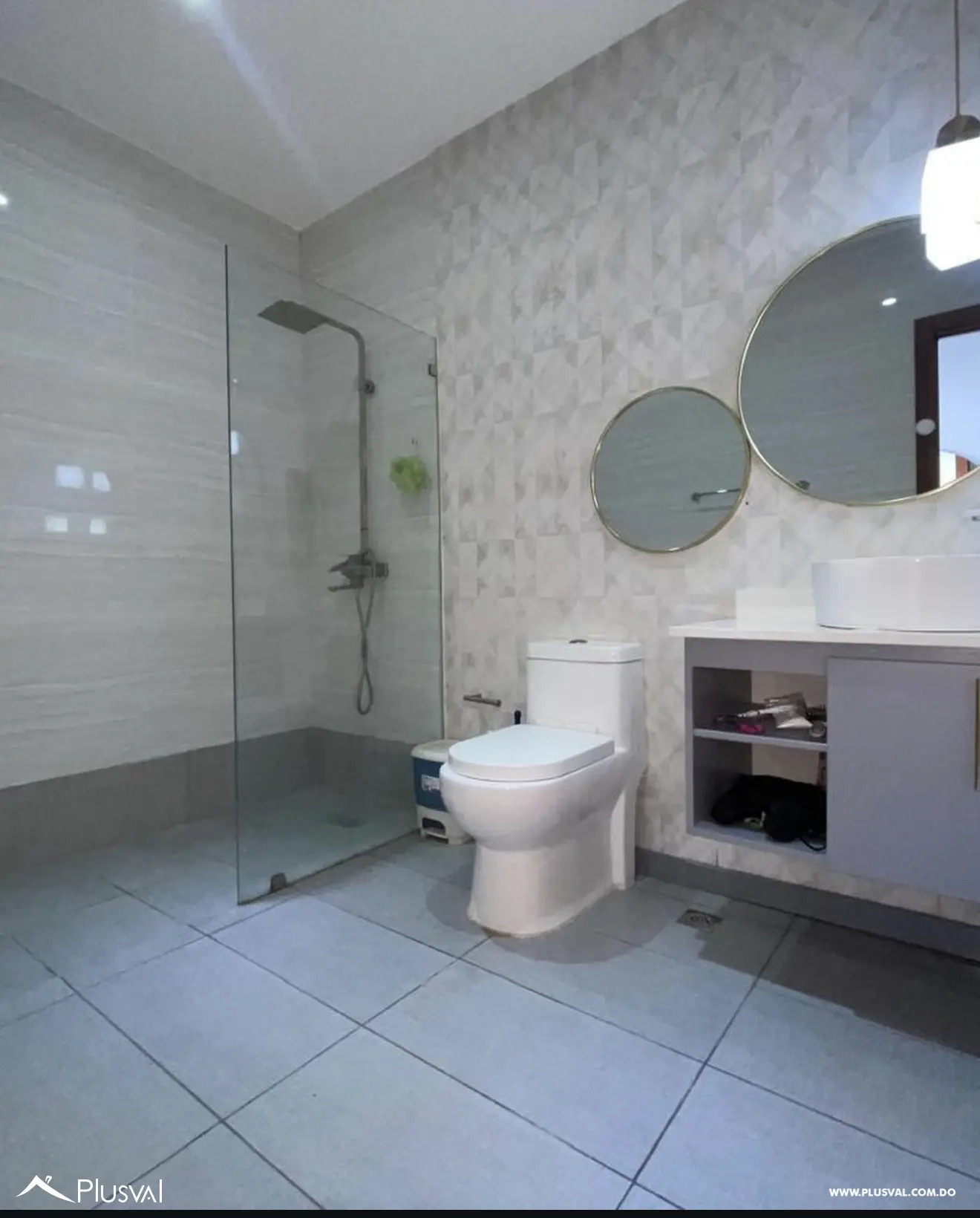 Alquiler de Penthouse en Naco 507452