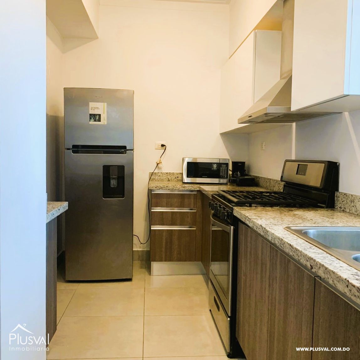 Apartamento en Naco amueblado en alquiler 392534