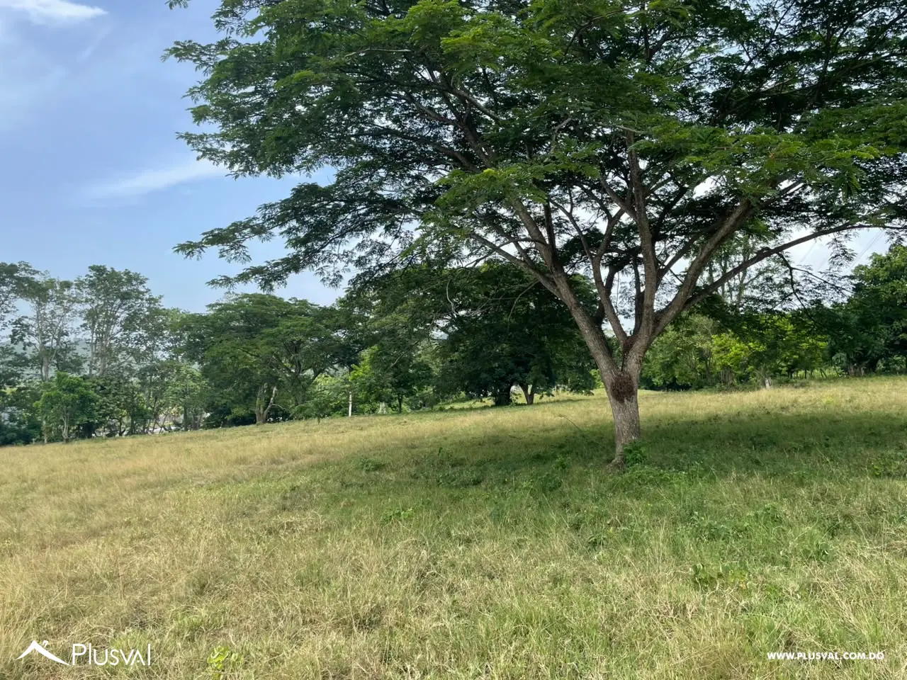Terreno en venta en El Pino, La Vega 515310