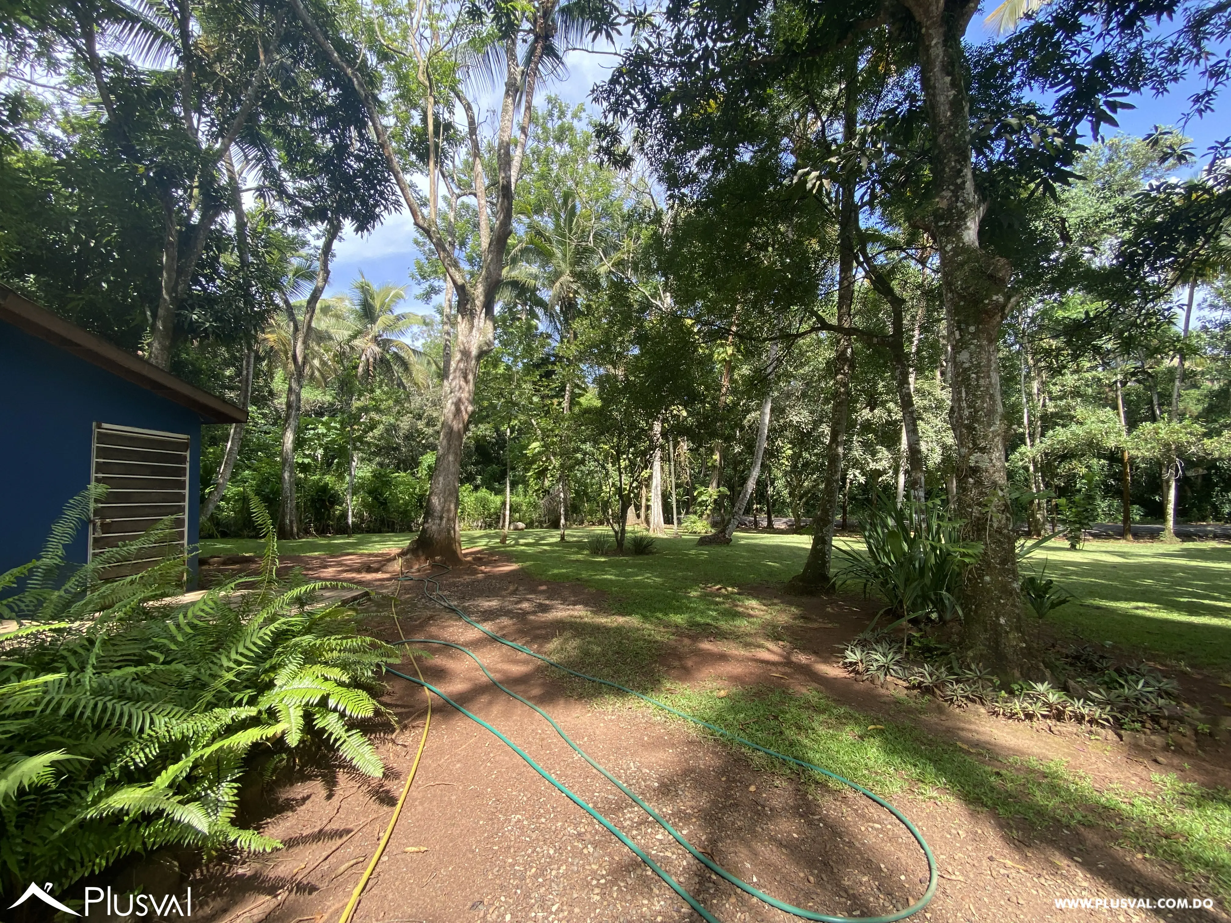 Finca de 106 tareas en Venta, Los Cocos | Pedro Brand 452058