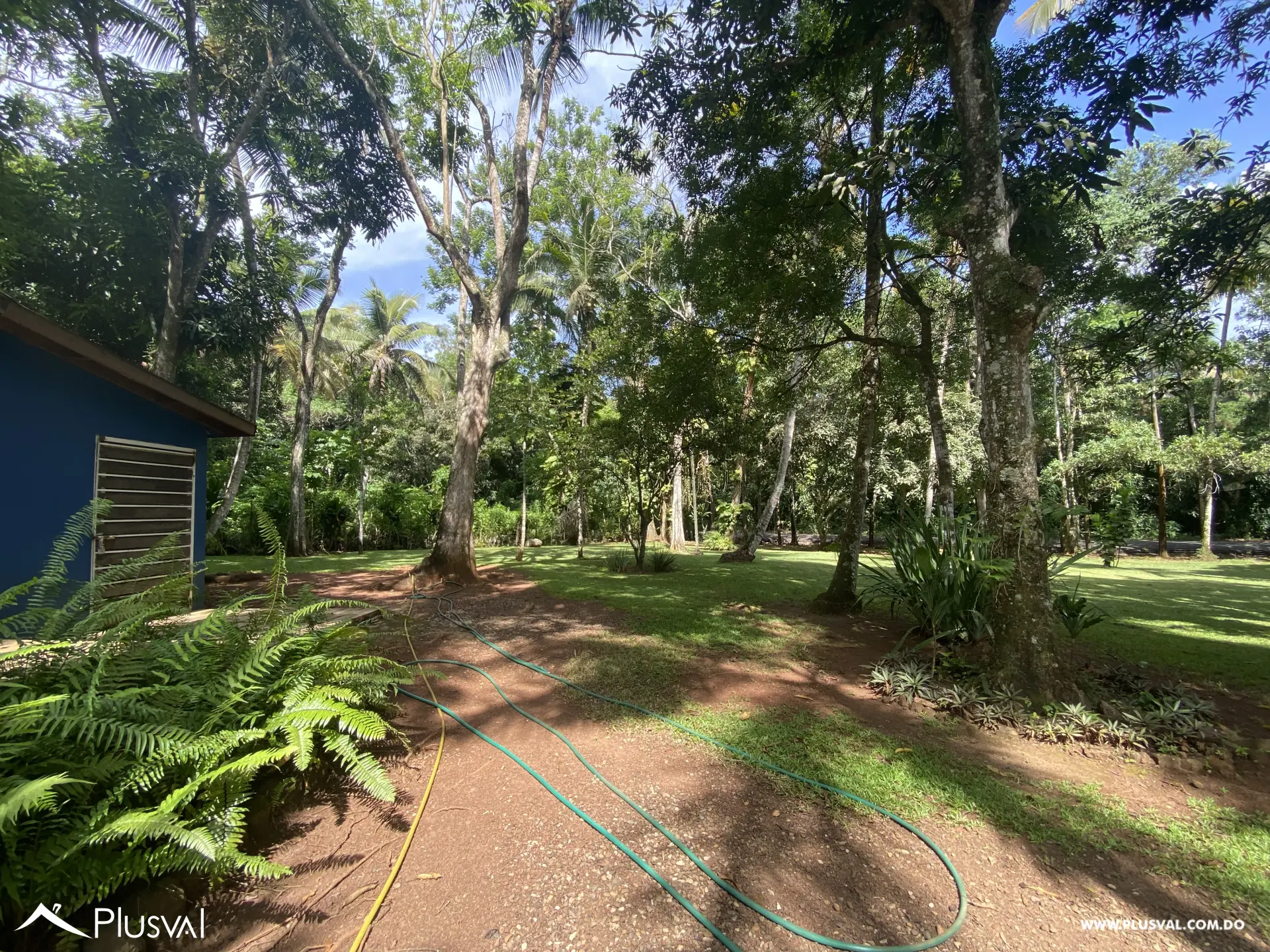 Finca de 106 tareas en Venta, Los Cocos | Pedro Brand 452058