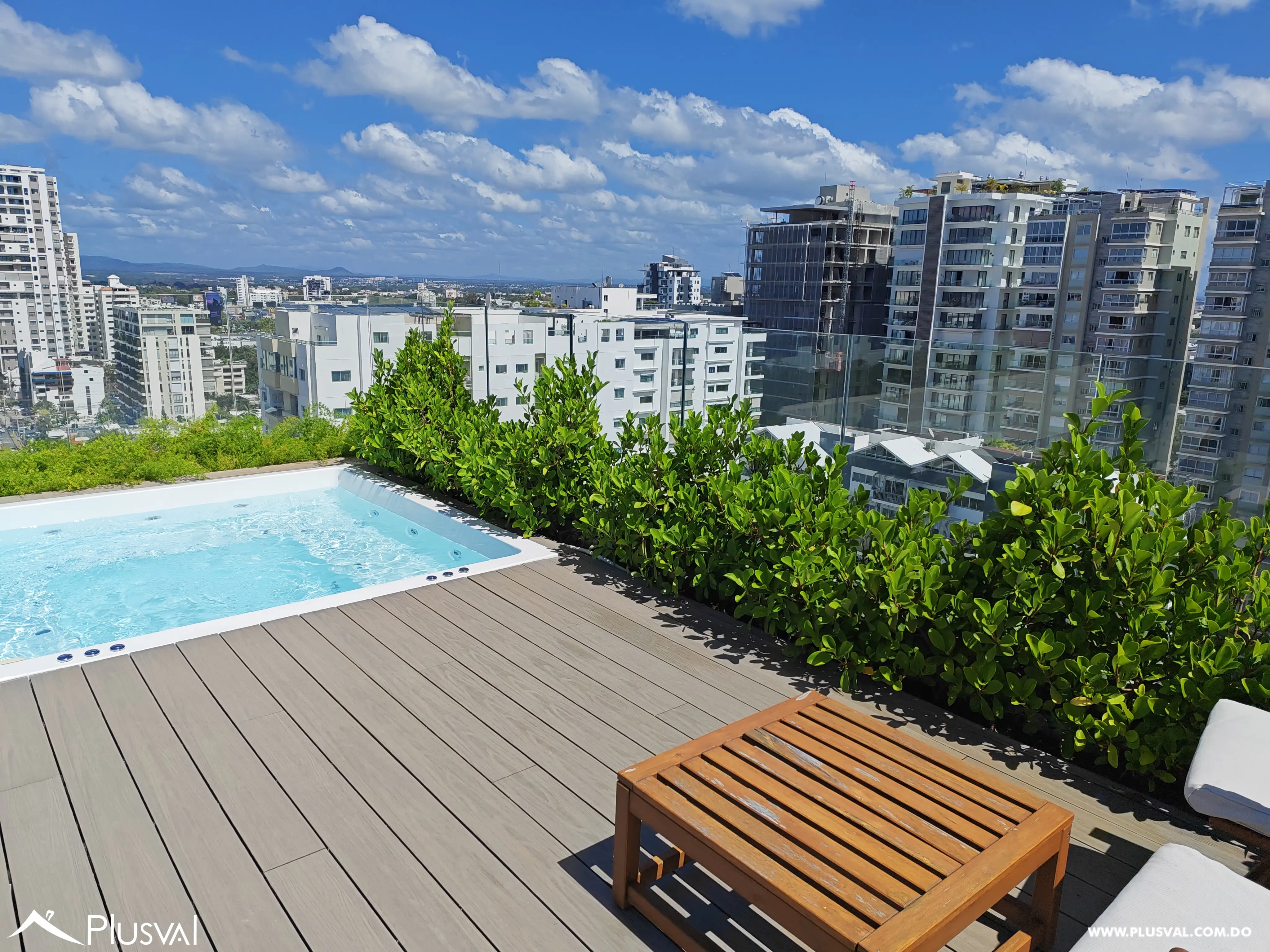 Lujoso Apartamento en alquiler en Piantini 492914