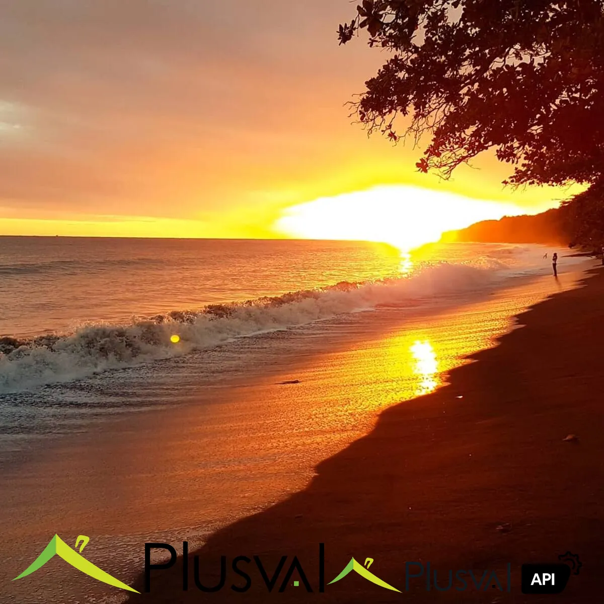Apartamento en playa amueblado 439948