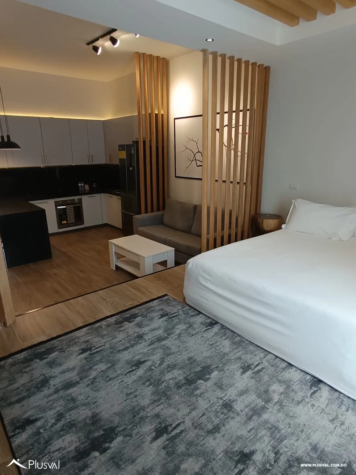 Apartamento Tipo Condo Hotel de 1 Habitacion 470061