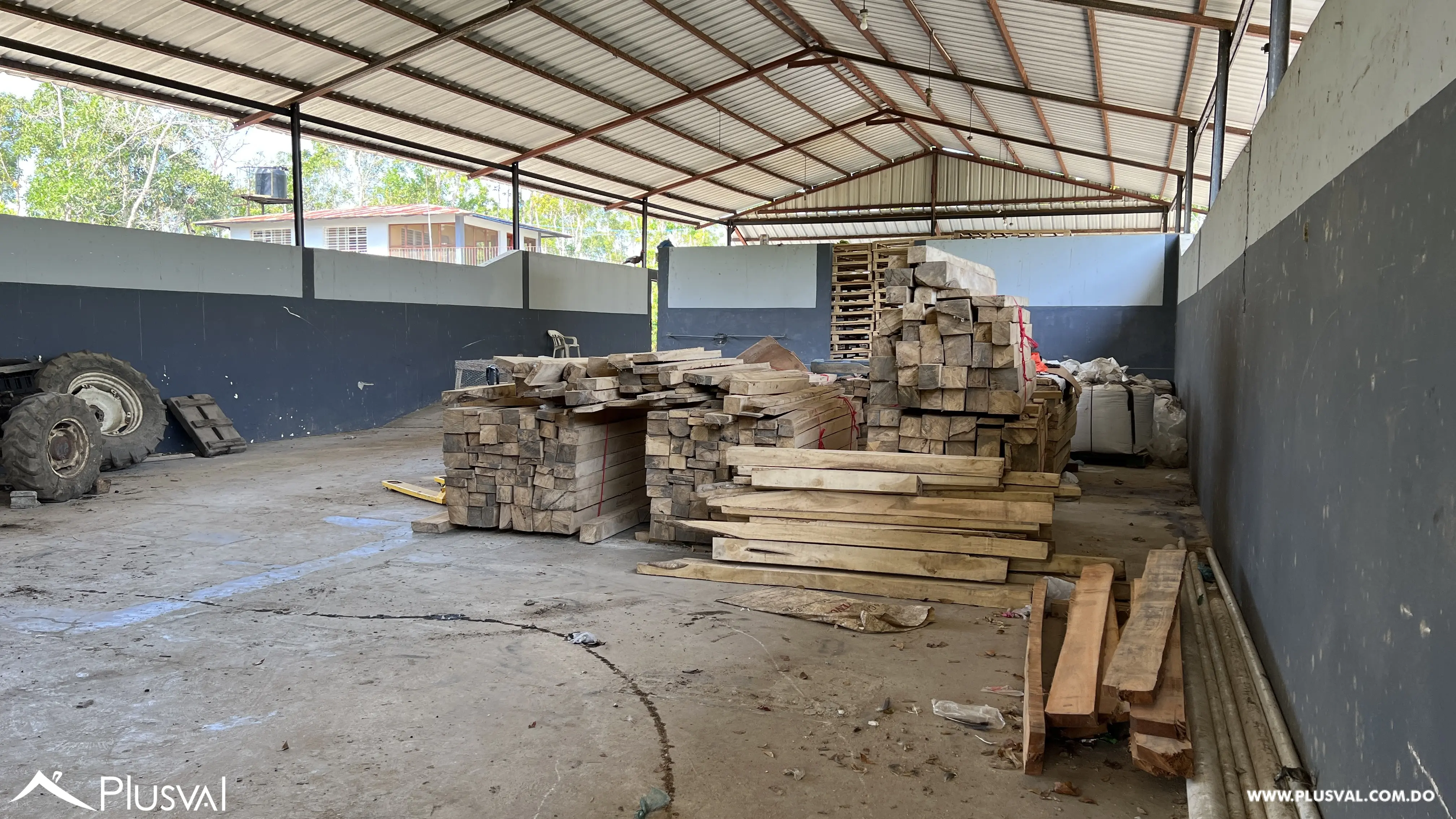 Finca de Cacao Orgánico Certificado en Venta en San Francisco de Macoris 506977