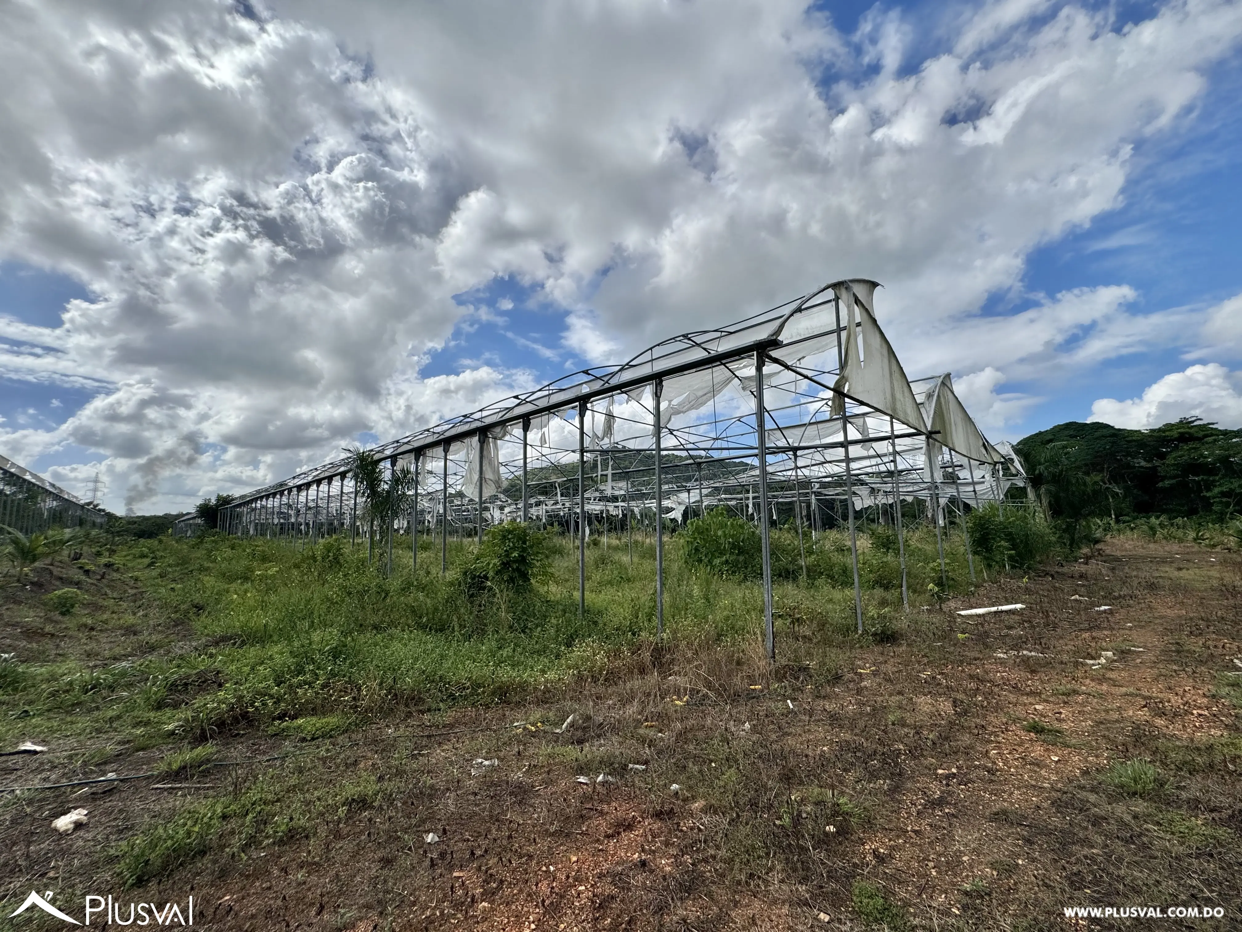 Vendo Maravillosa Finca con Importantes Mejoras en Pedro barnd 479773