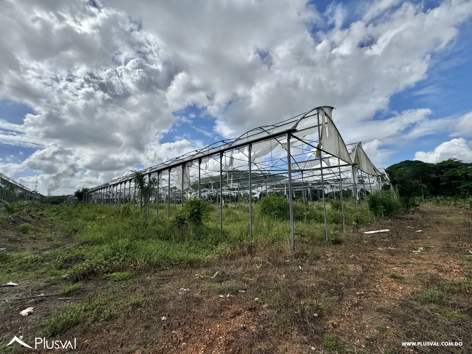 Vendo Maravillosa Finca con Importantes Mejoras en Pedro barnd 479773