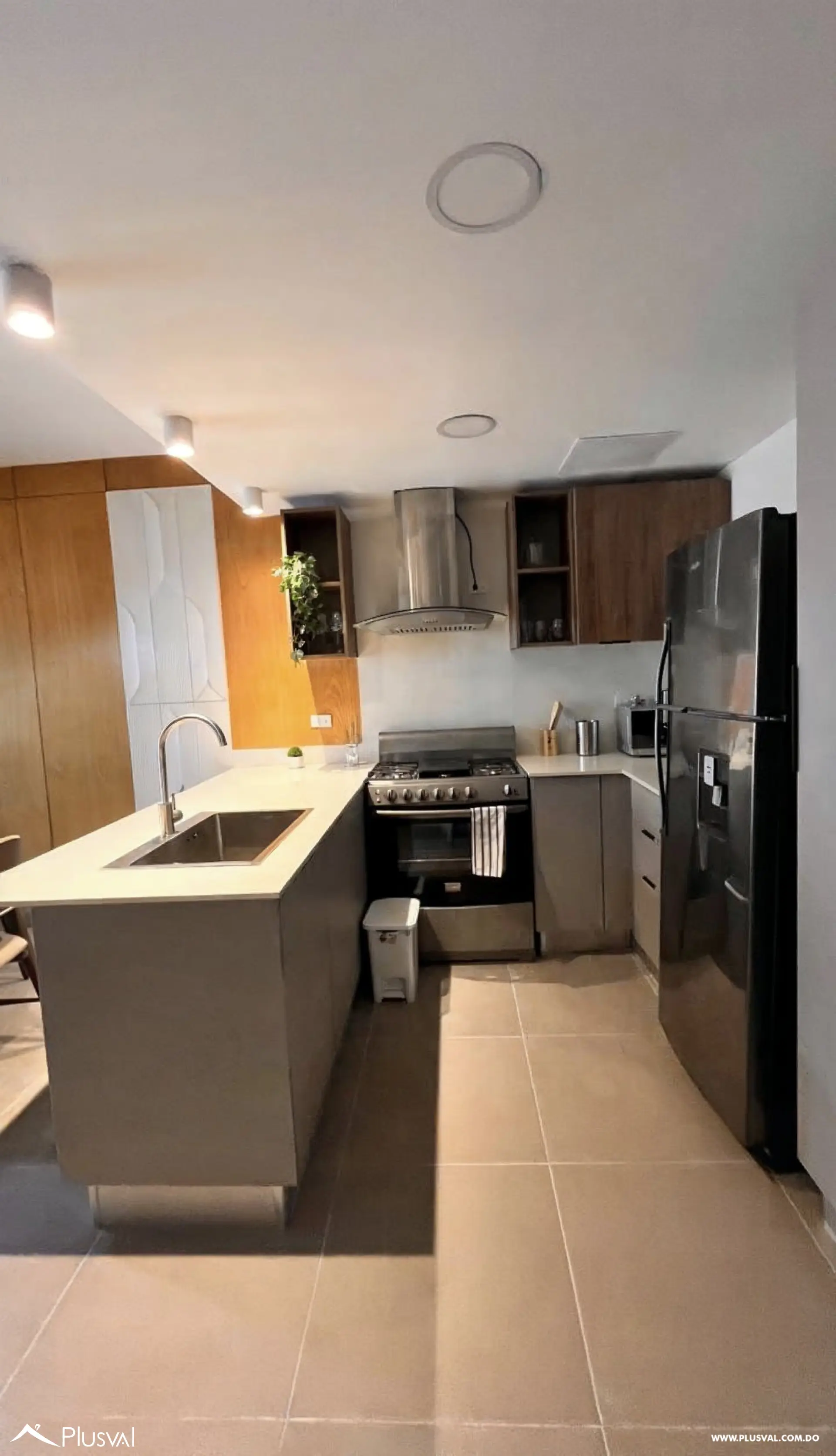 Apartamento amueblado en alquiler- Gazcue 479822