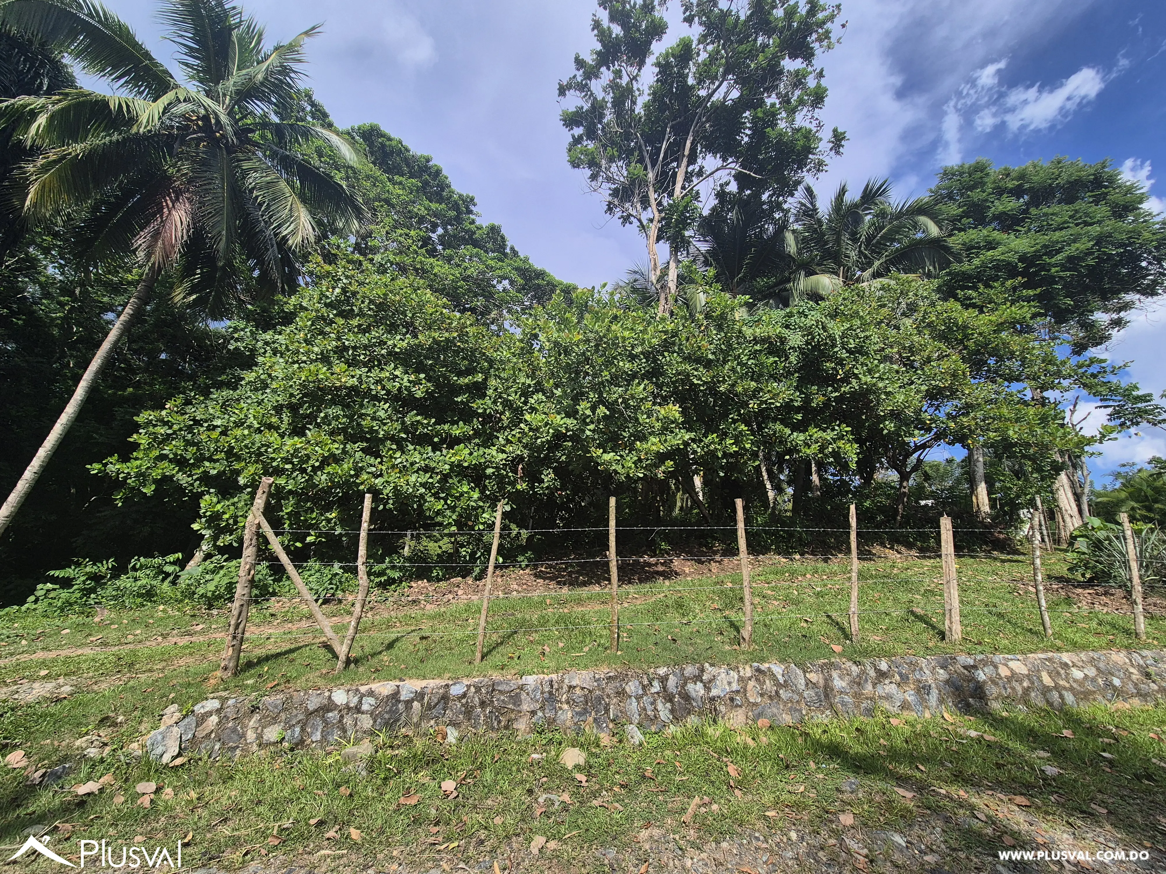 Finca en el Higuero en venta. 454629