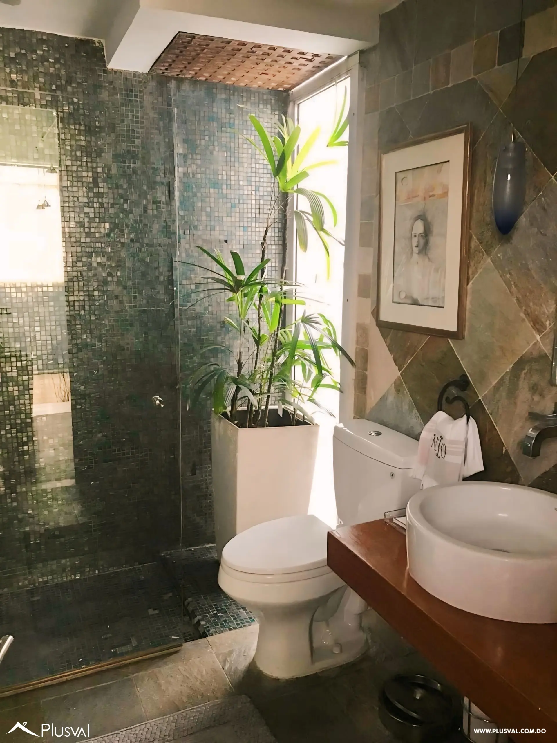 Penthouse Evaristo Morales 516503