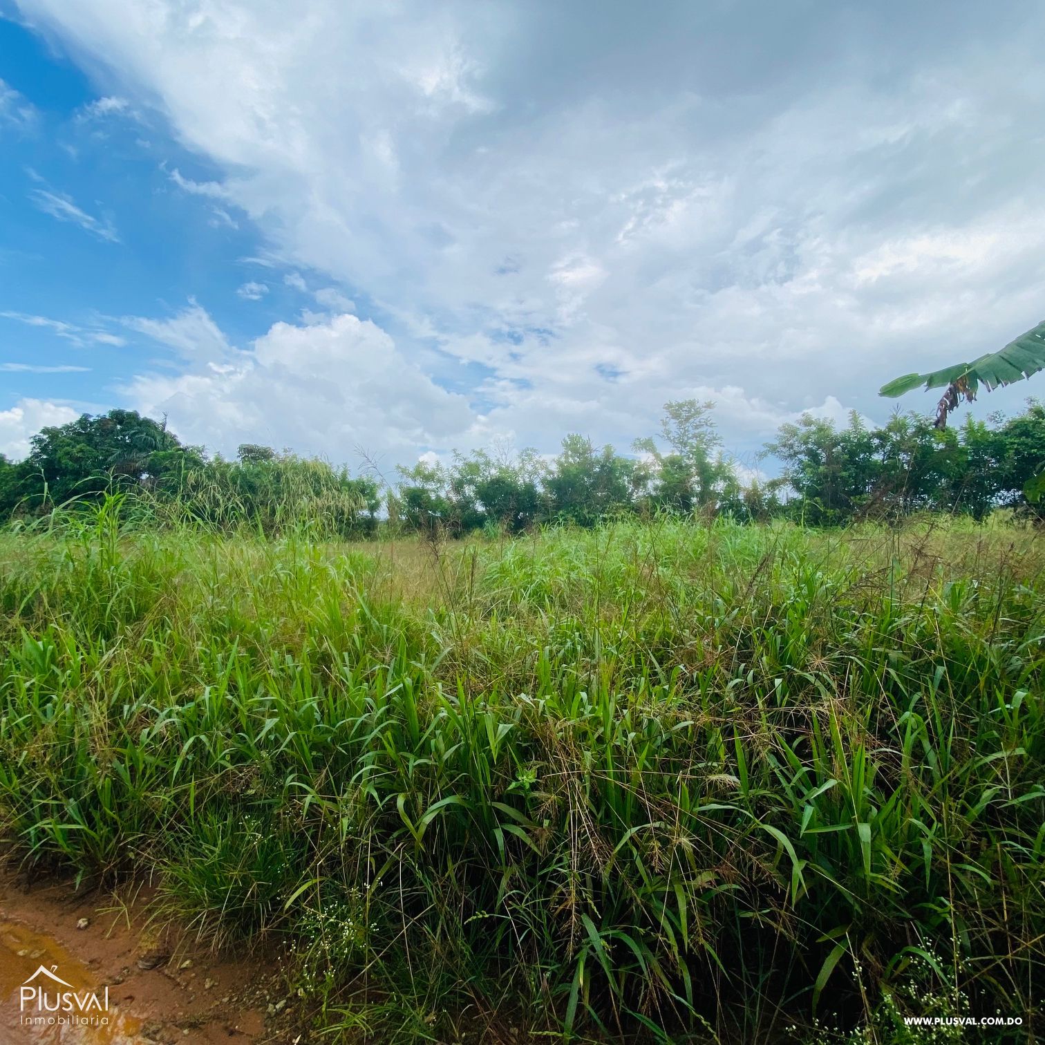Venta de Finca Agrícola y Minera en Cotuí 232849