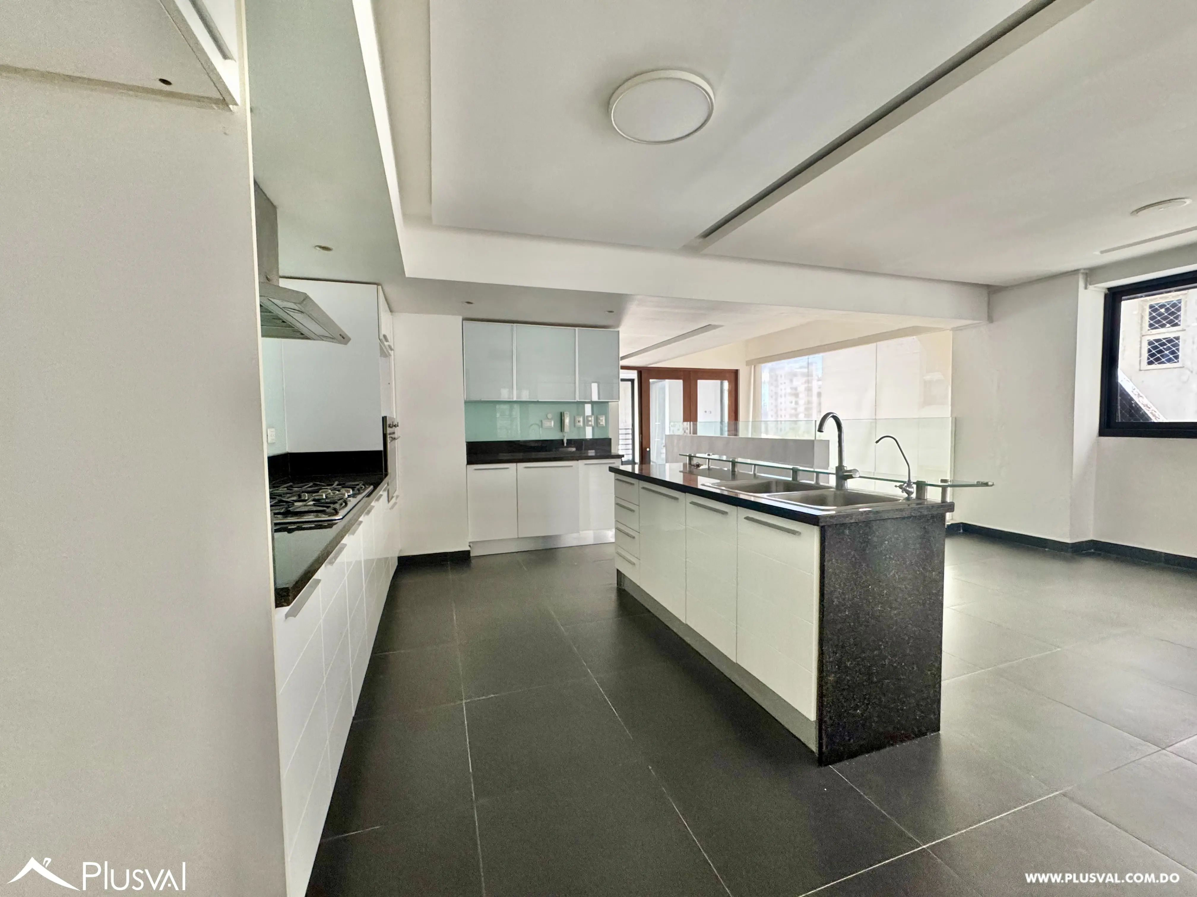 Alquilo Excelente Apartamento Tipo Loft  en el Corazón de Naco 500633