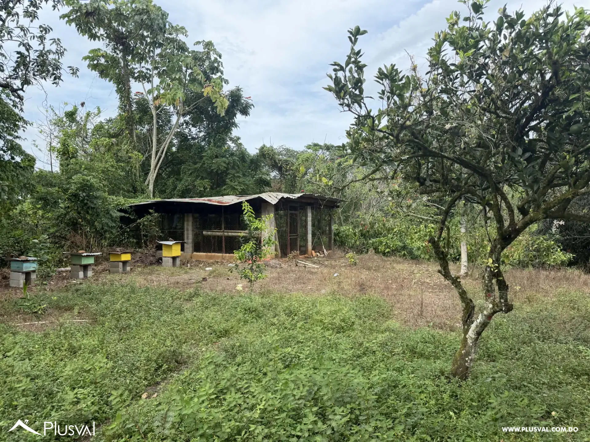 Hermosa Finca en Bonao en venta 496717
