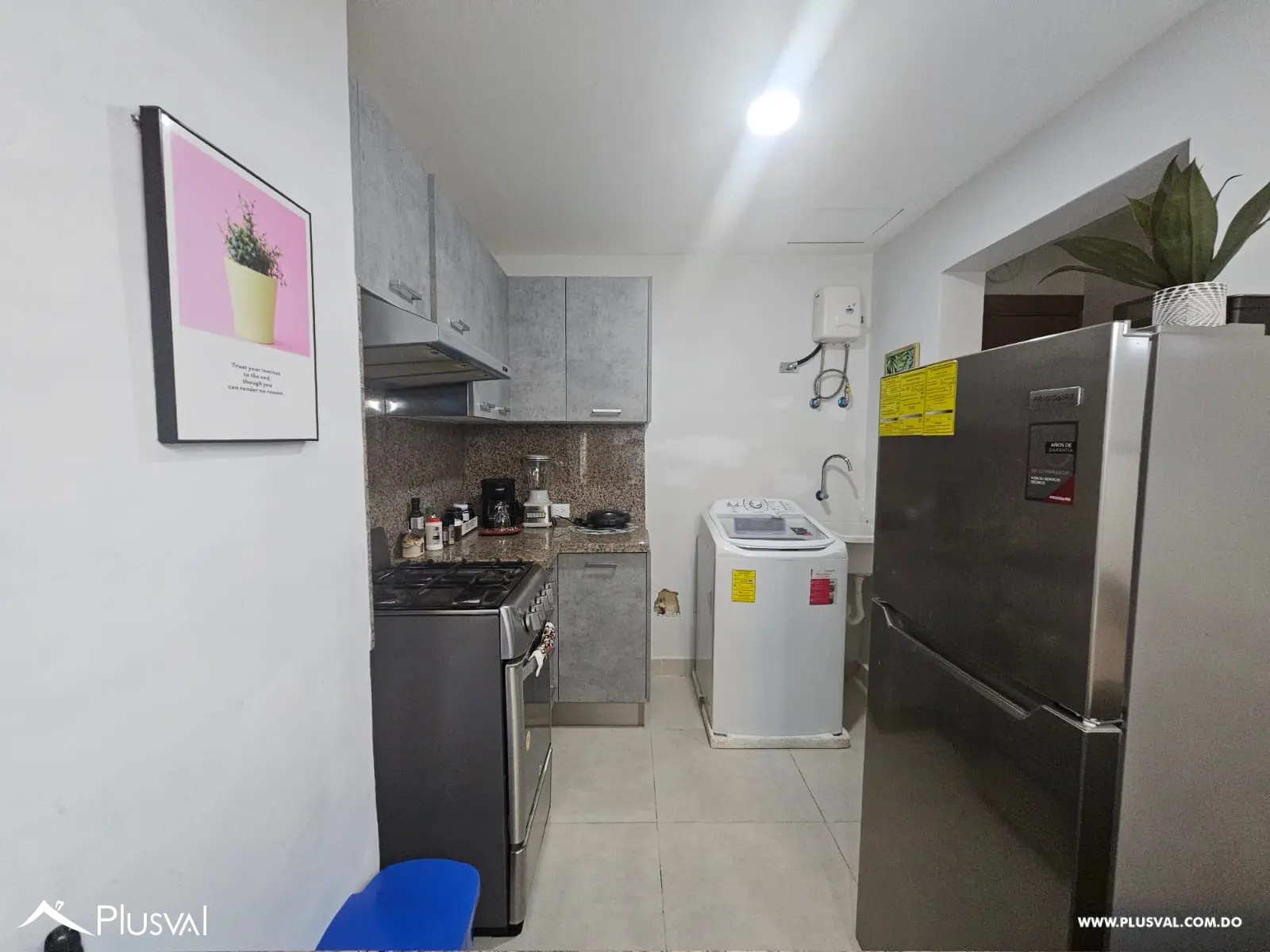 Apartamento Amueblado de 1 Hab en Alquiler 525291