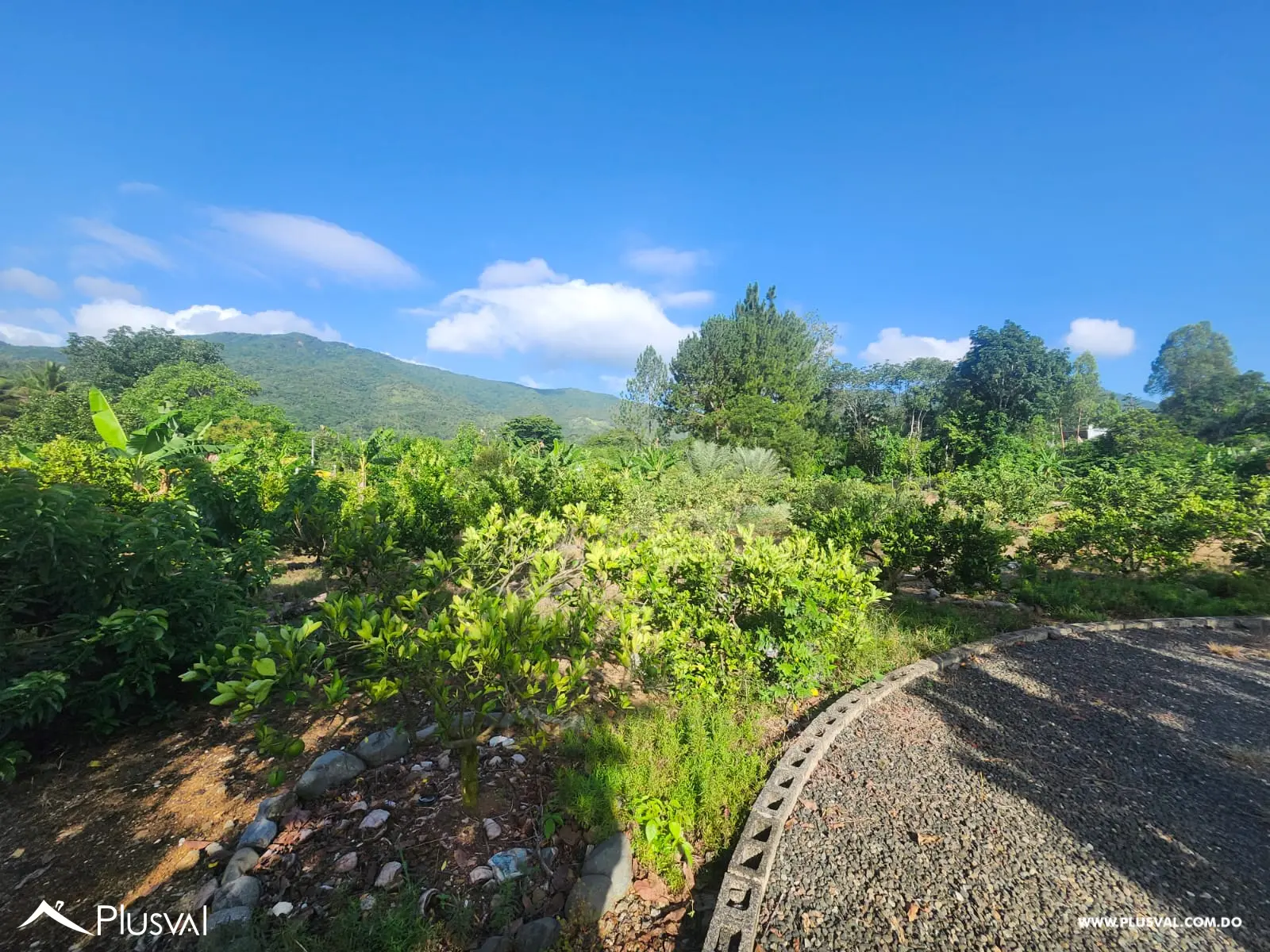 Vendo Excelente Finca en Rancho Los Mogotes- Villa Altagracia 522600