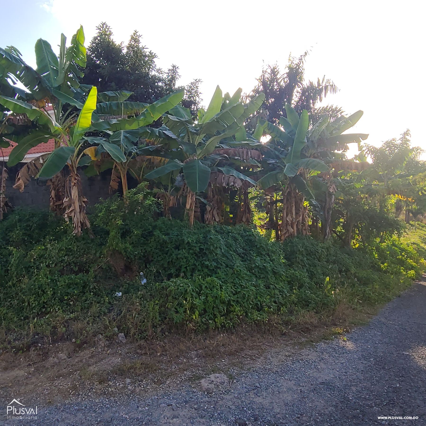 Venta de Solar de 1,000 mts2, Arroyo Hondo III 248616