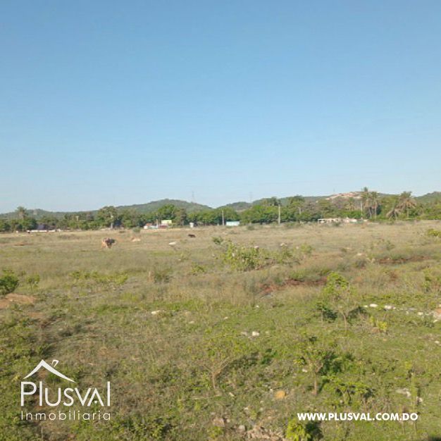 Solar en venta en Bani 496947