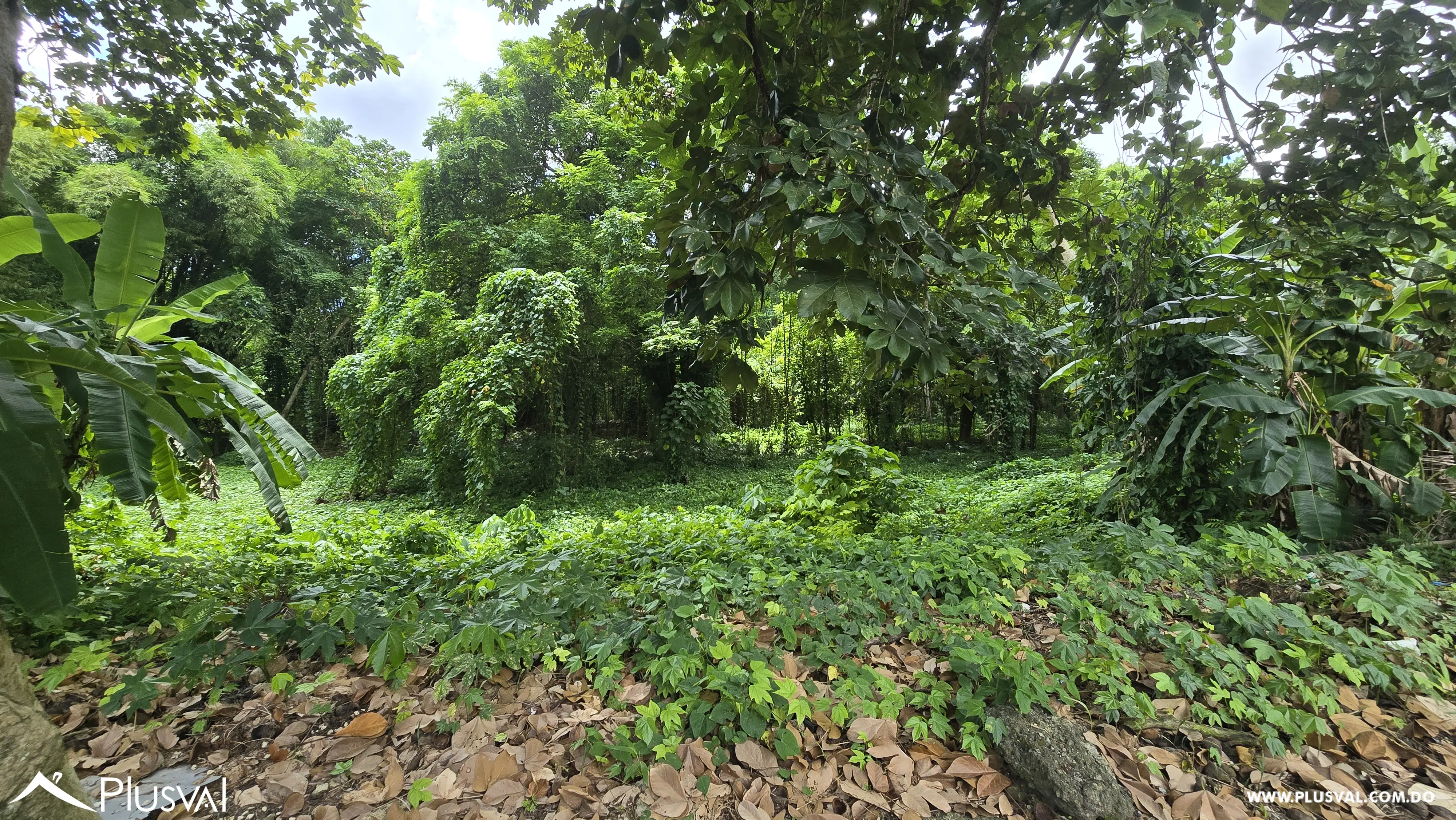 Solar de 35,846.73 en Venta, Arroyo Hondo 470480