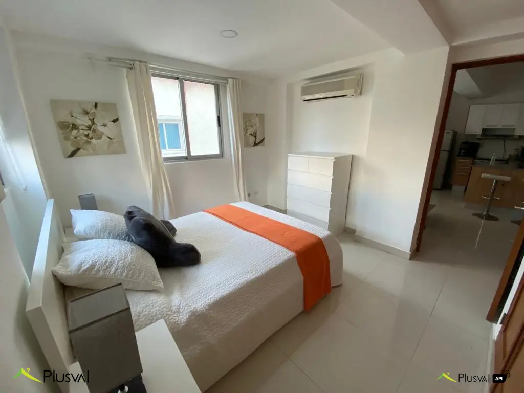 Apartamento Amueblado en alquiler! Listo para Mudarse 450374