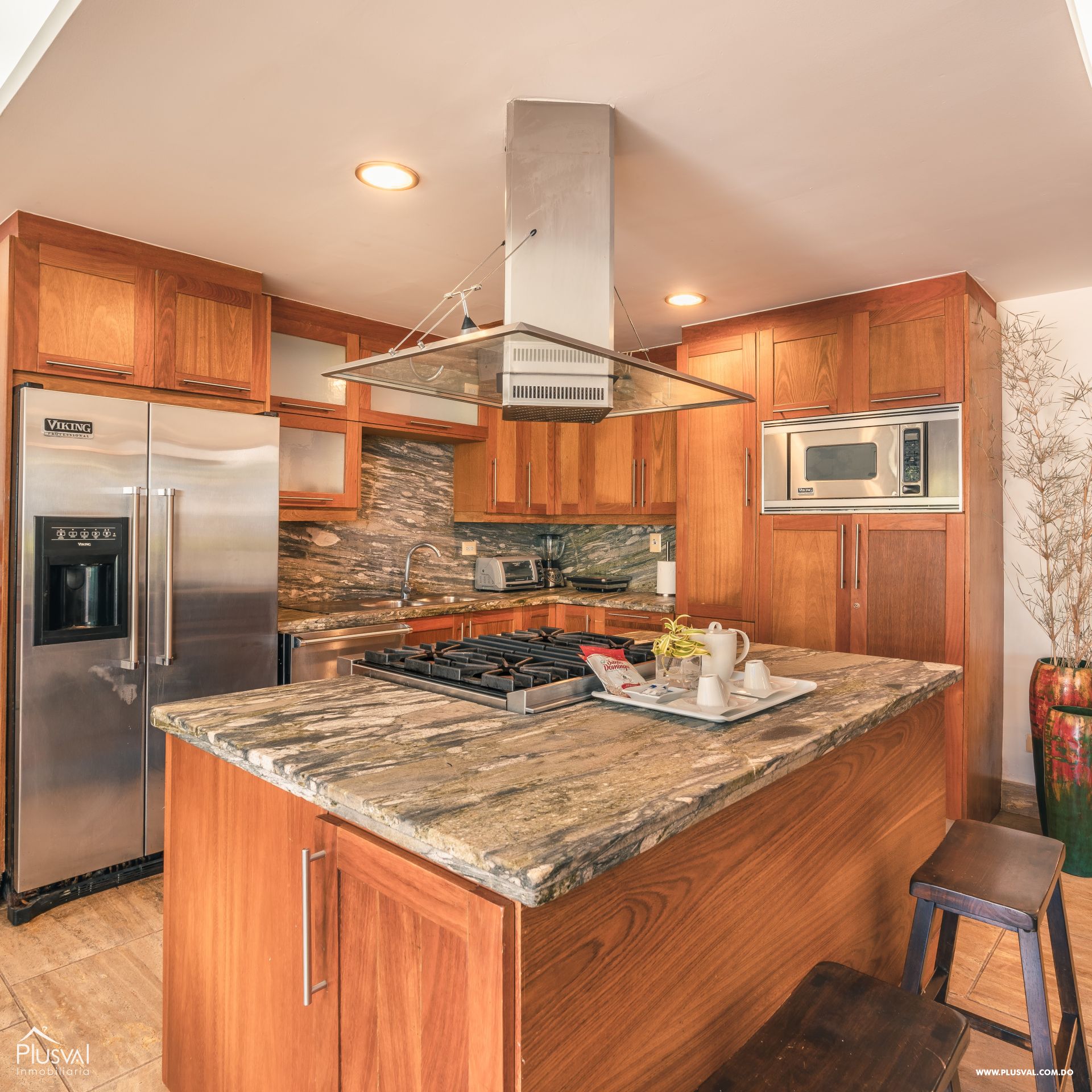 Espectacular Apartamento en Venta en Las Terrenas 343692