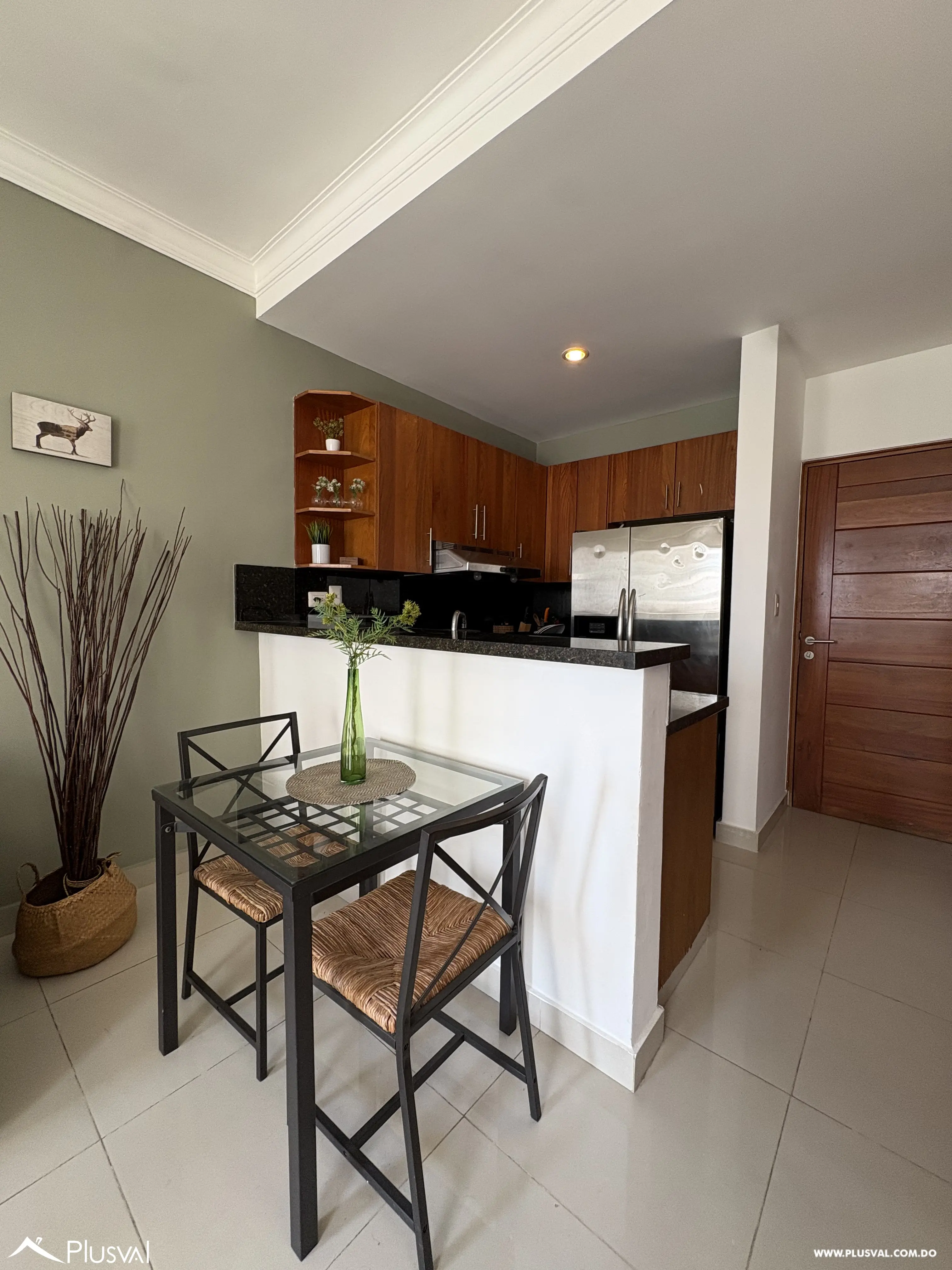 Apartamento amueblado en Alquiler, de 1 habitación en Piantini. 490904