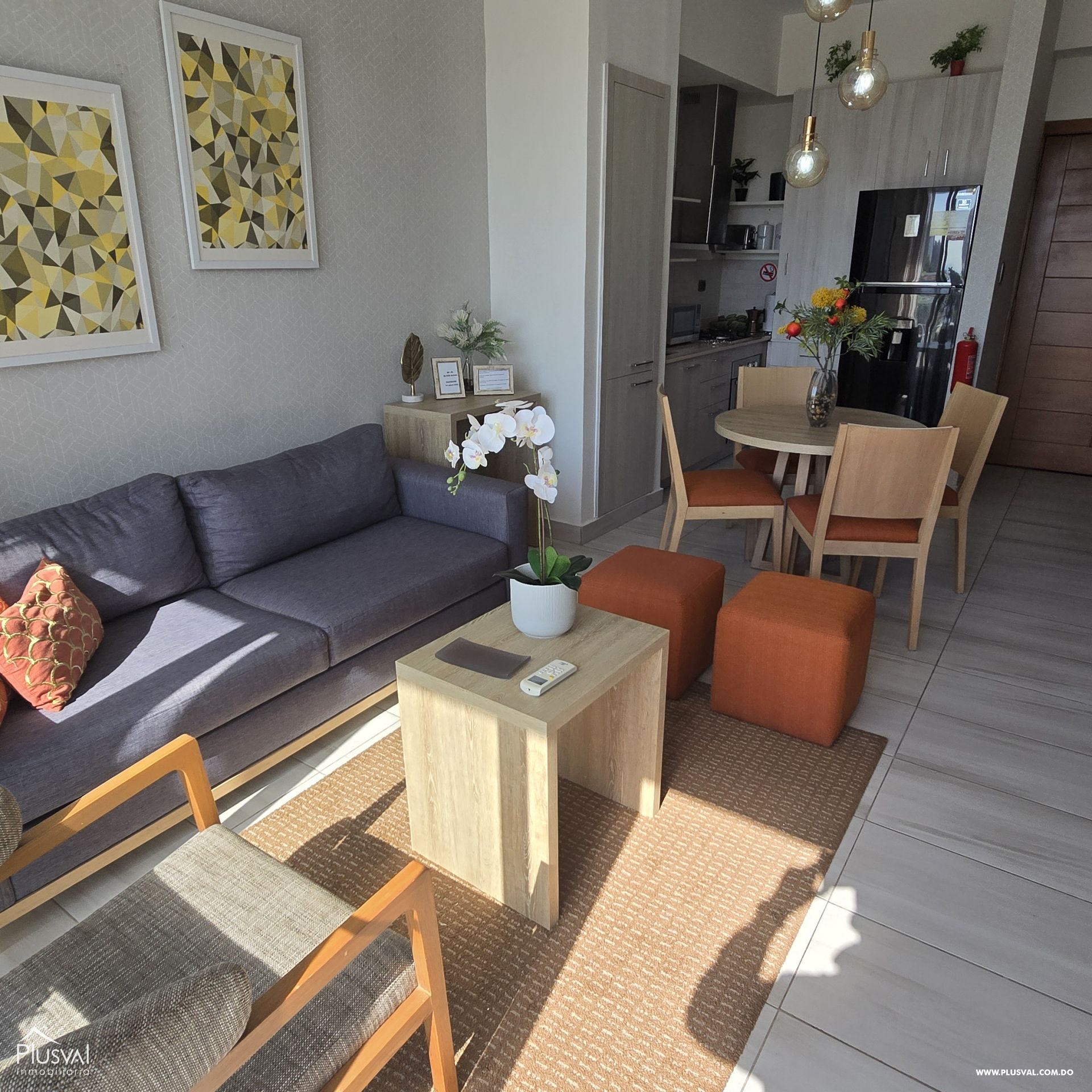 Apartamento amueblado en alquiler, Naco 400752