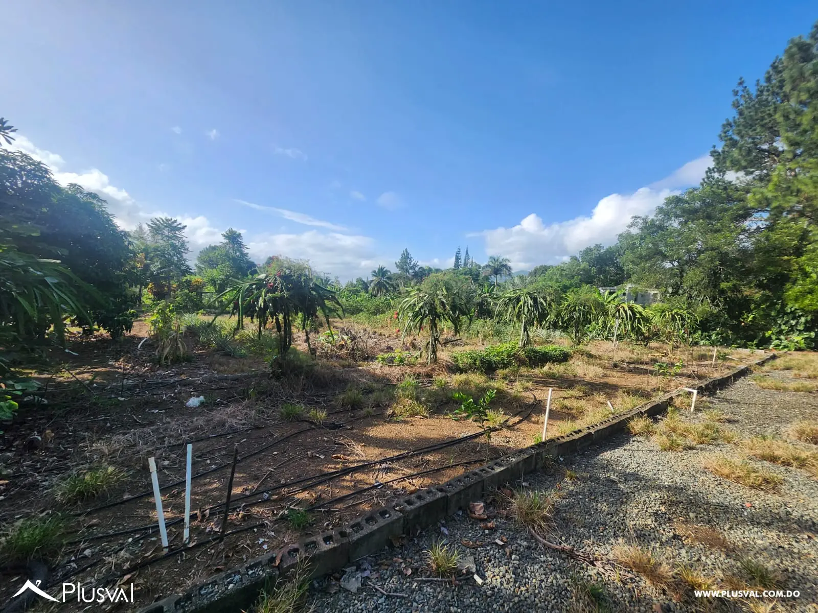 Vendo Excelente Finca en Rancho Los Mogotes- Villa Altagracia 522593