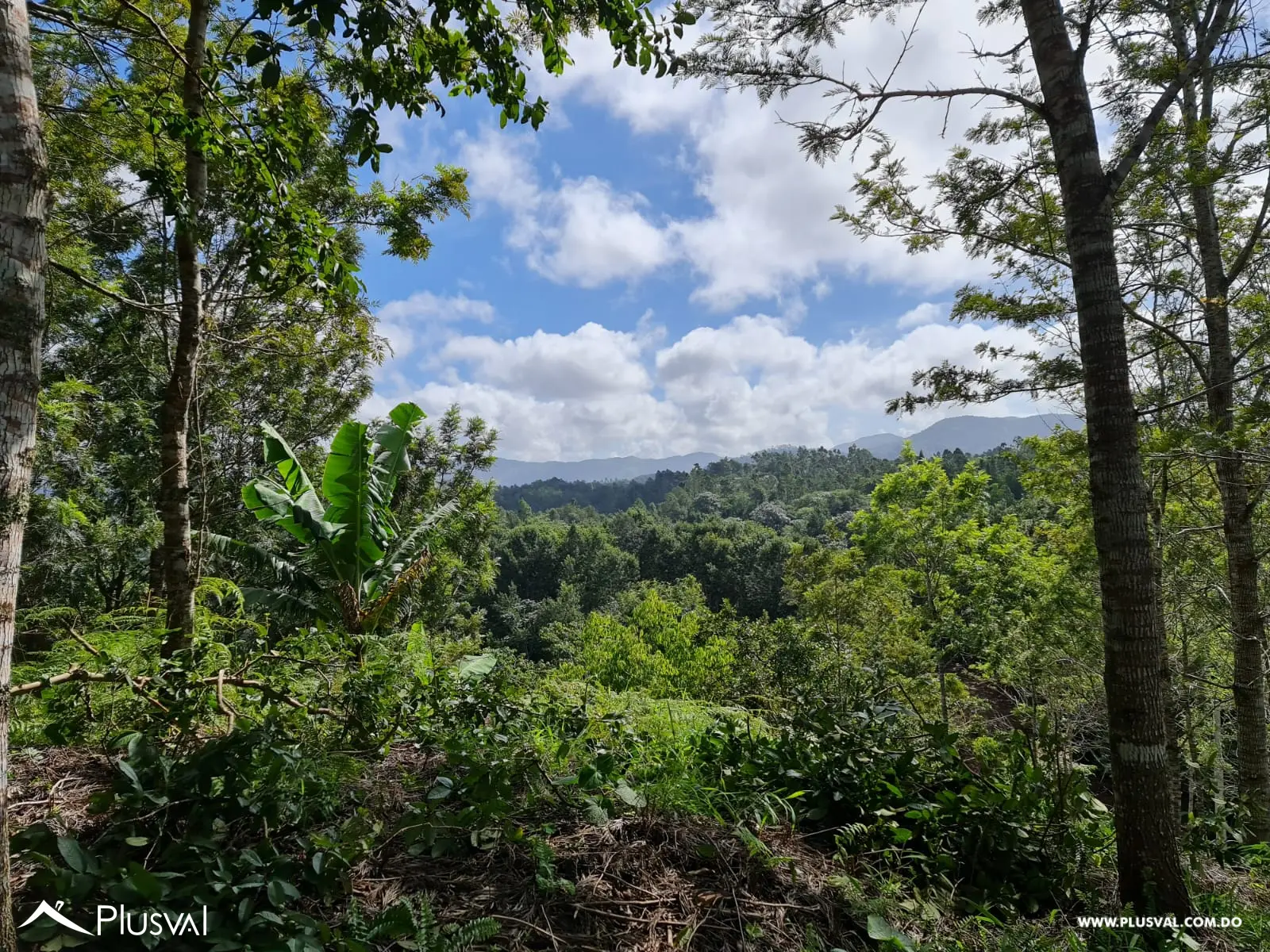 Solares en Constanza - Proyecto de Montaña - Clima Frío y Relajado 483833