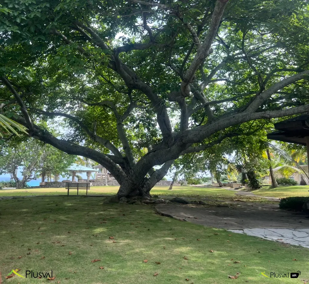 Villa (Mejora) en Boca Chica 451667