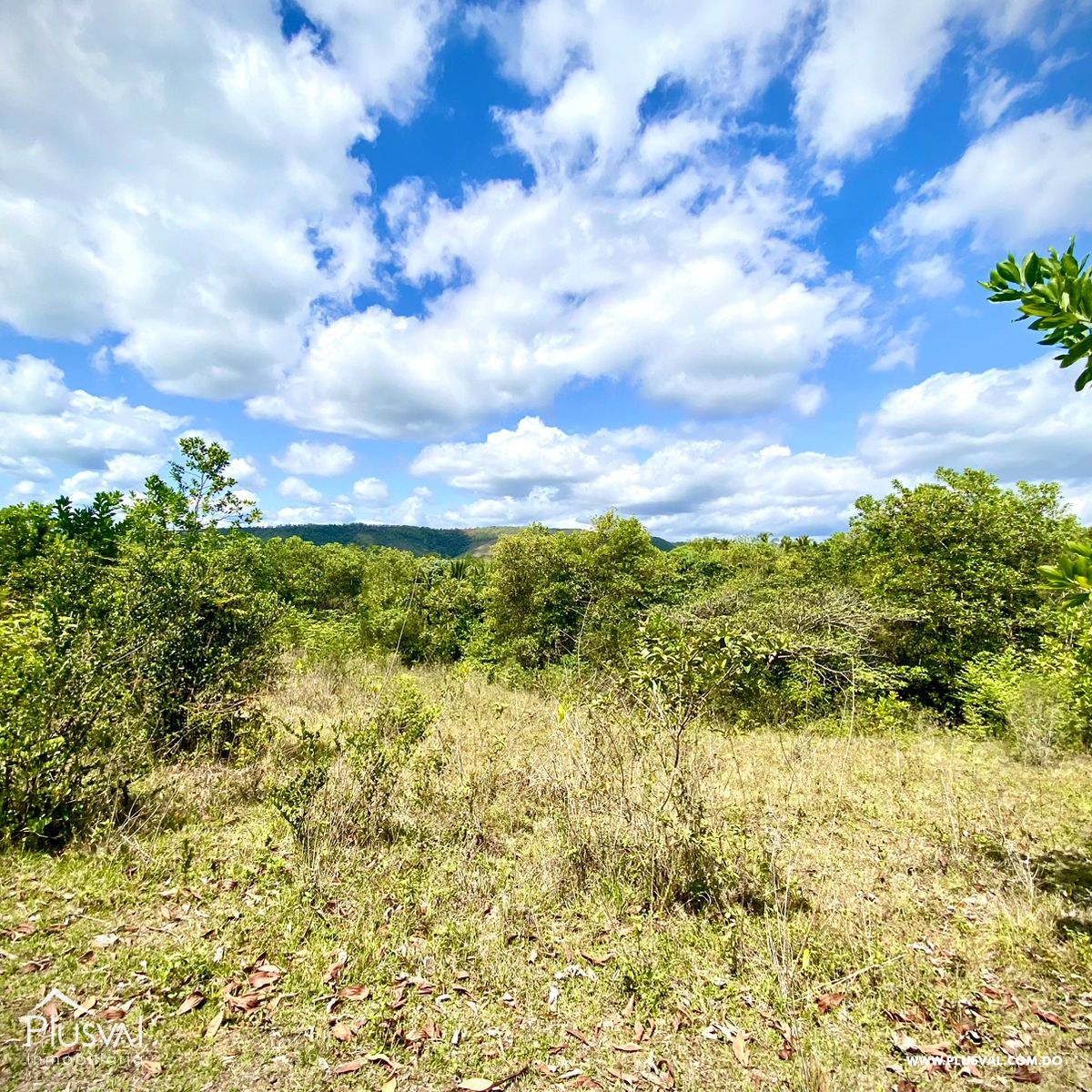 Gran Terreno en Yamasa Para Venta 275148