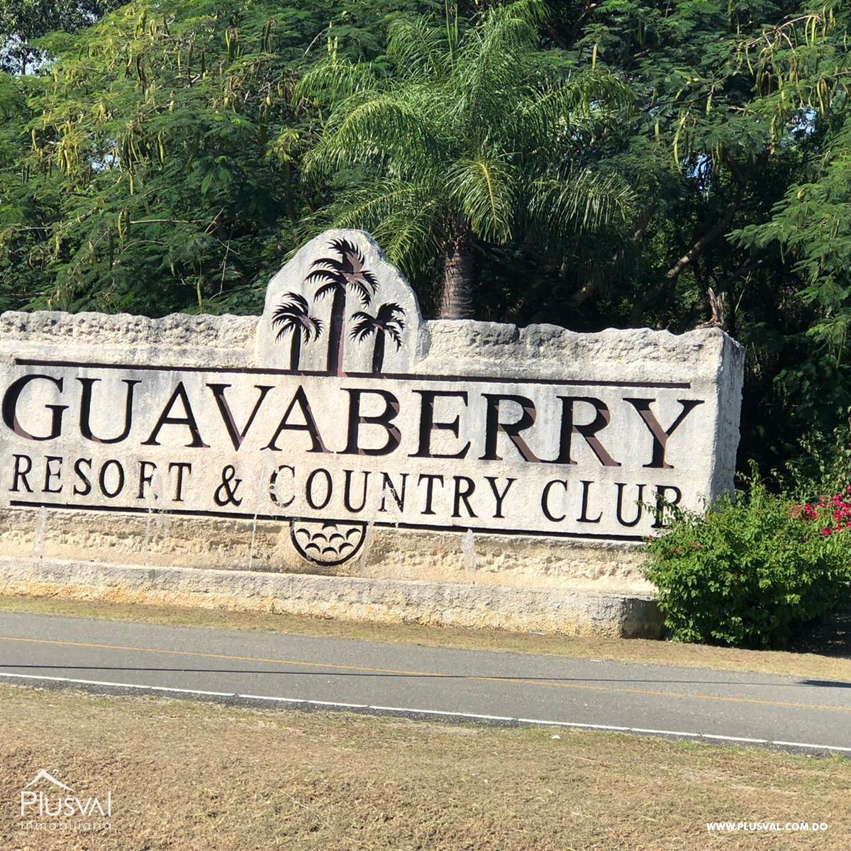 Villa en venta Guavaberry san pedro de macoris 382653