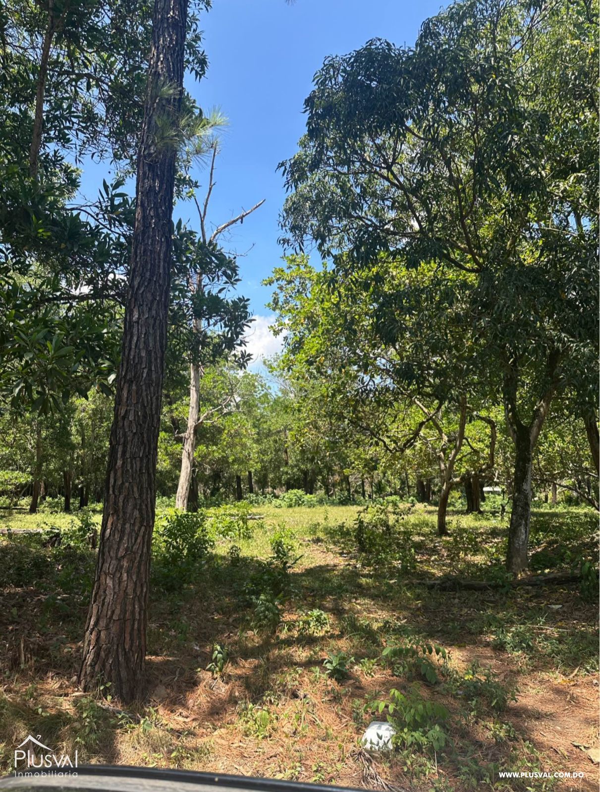 Solar de 4,551 m² en Vacacional La Isabela, en Pedro Brand 470081