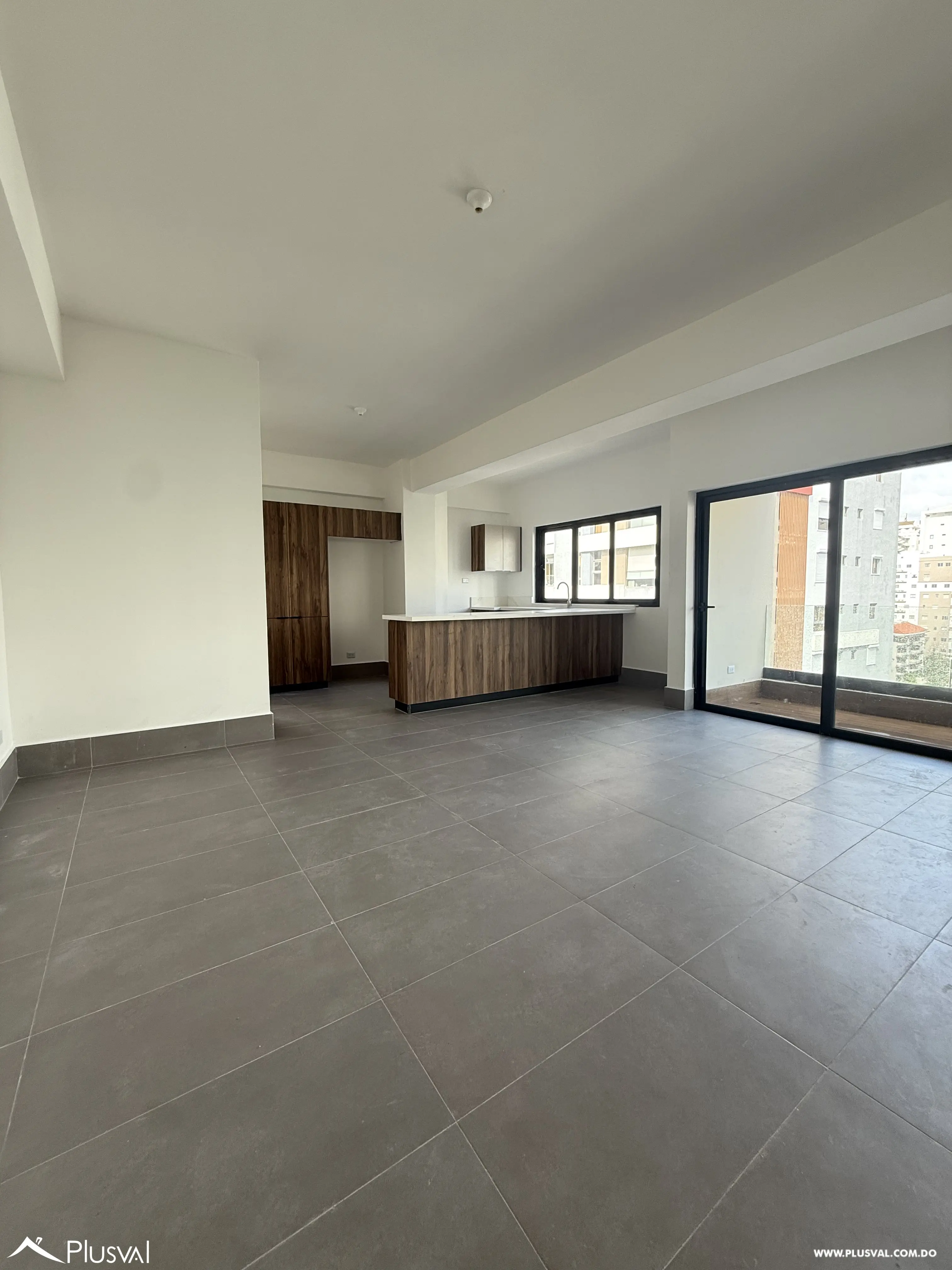 Apartamento de 1 habitacion en Piantini 481365