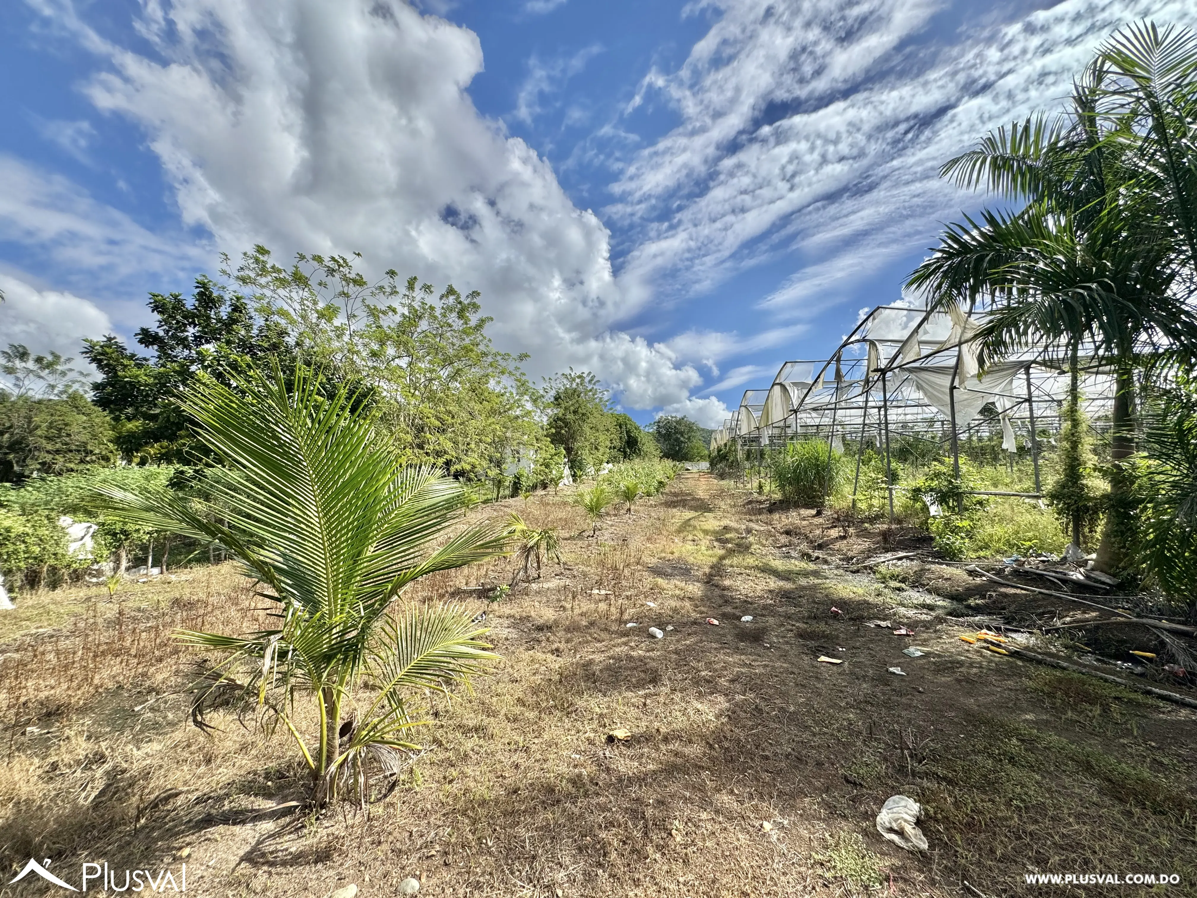 Vendo Maravillosa Finca con Importantes Mejoras en Pedro barnd 479785