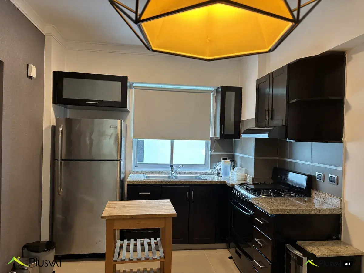 Apartamento en alquiler amueblado en el sector de Naco con 1 hab y 1 parqueo. 445873